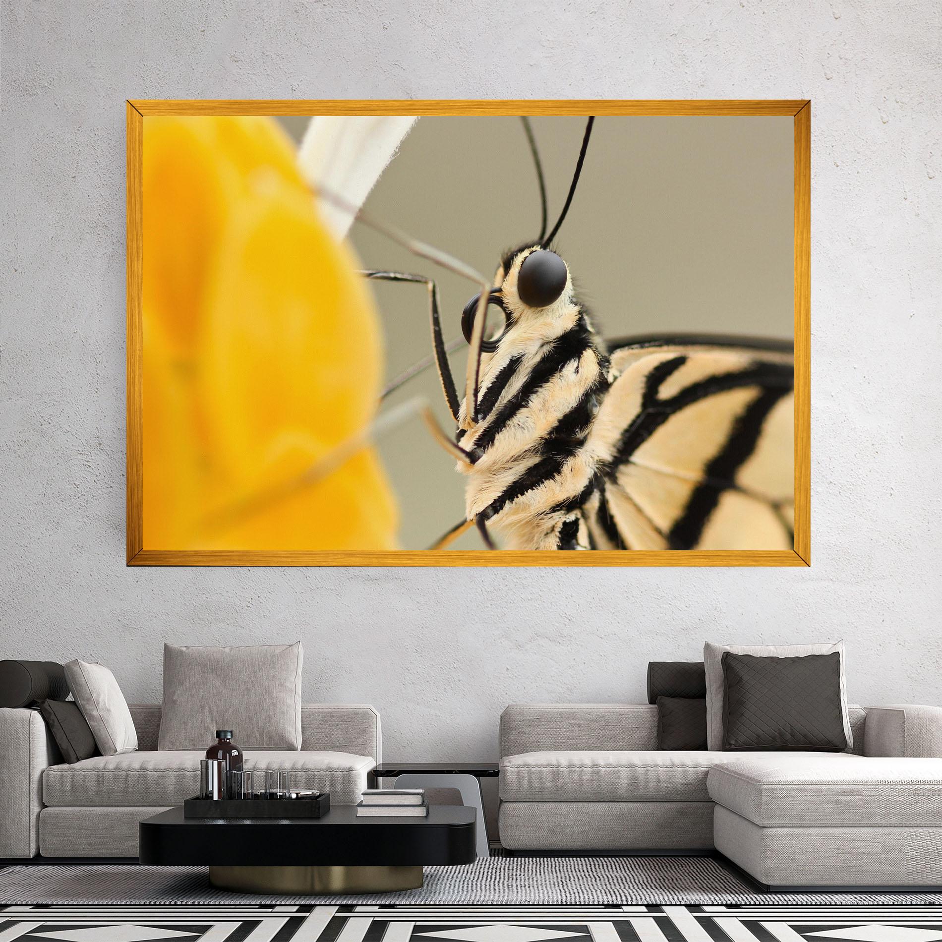 Vászonkép Close Up Cream Butterfly mockup 2