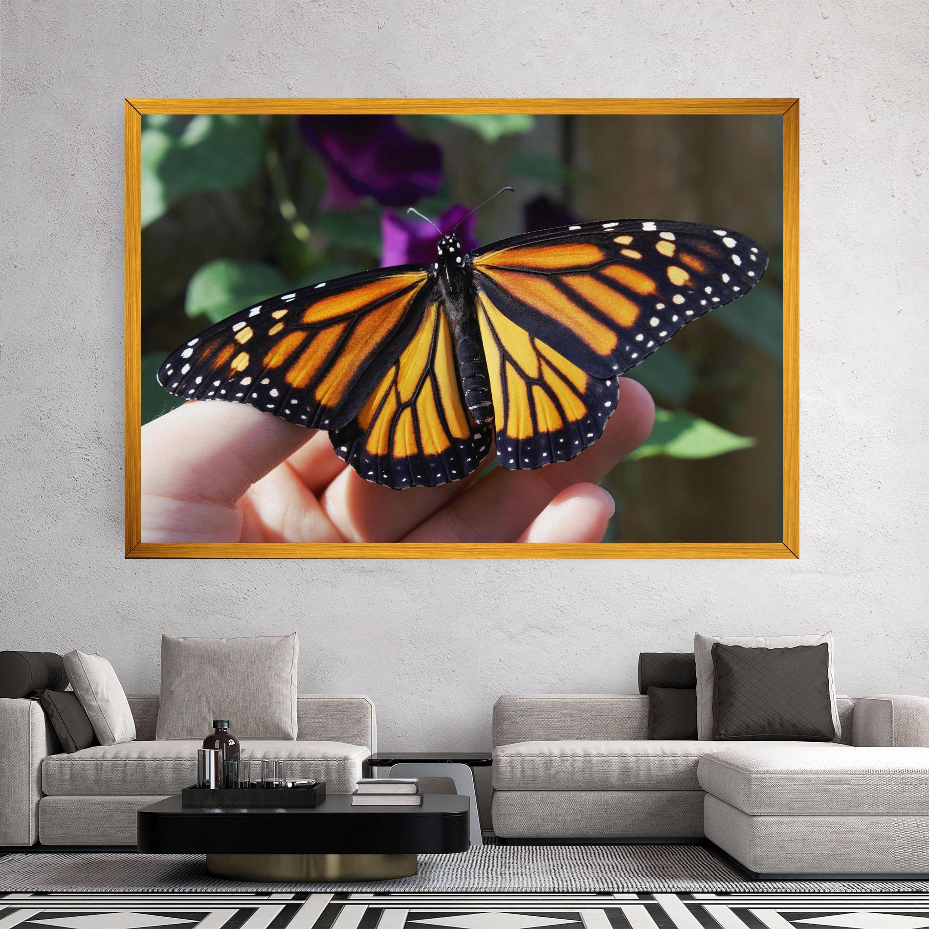 Vászonkép Open Orange Butterfly mockup 2