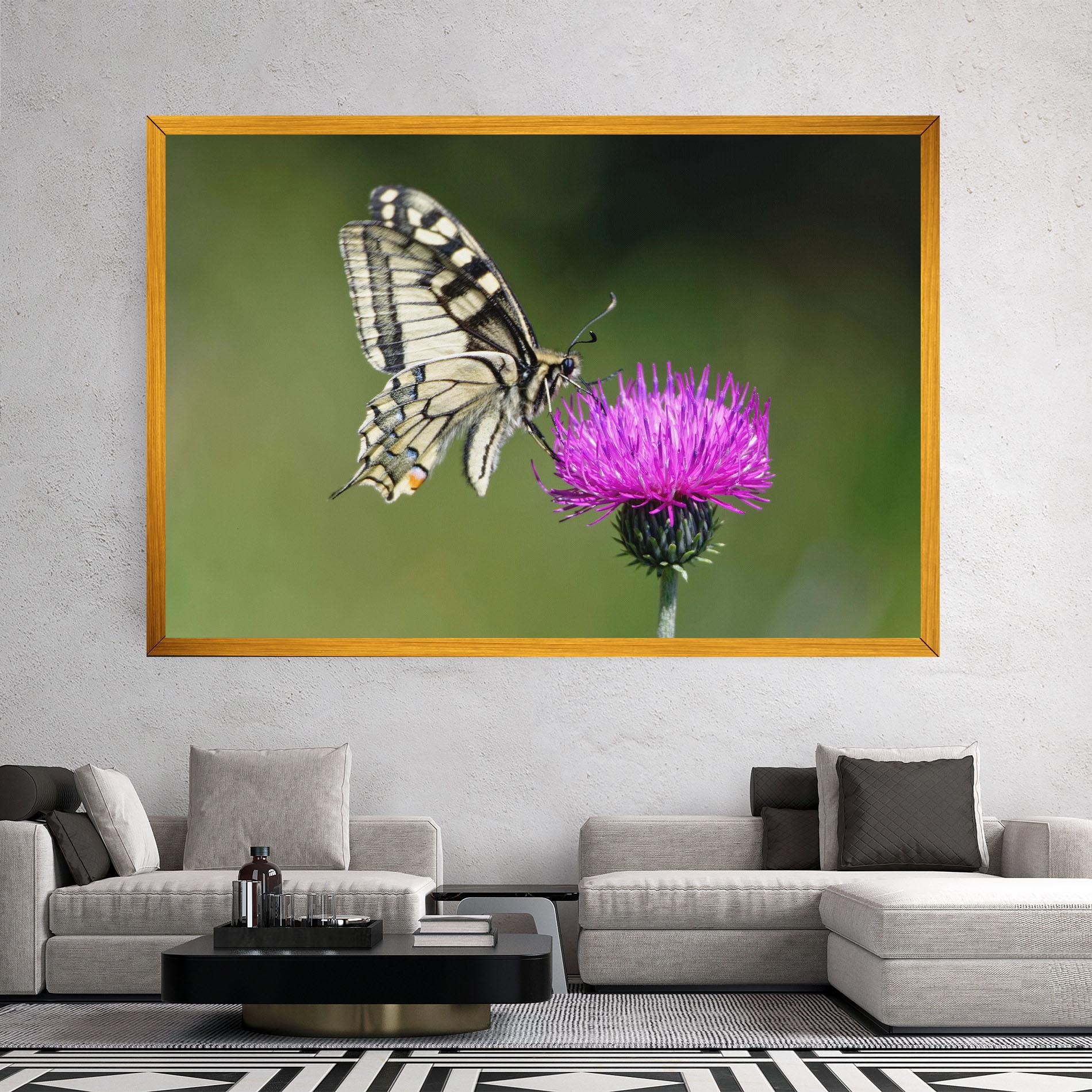 Vászonkép White Butterfly Pollen mockup 2