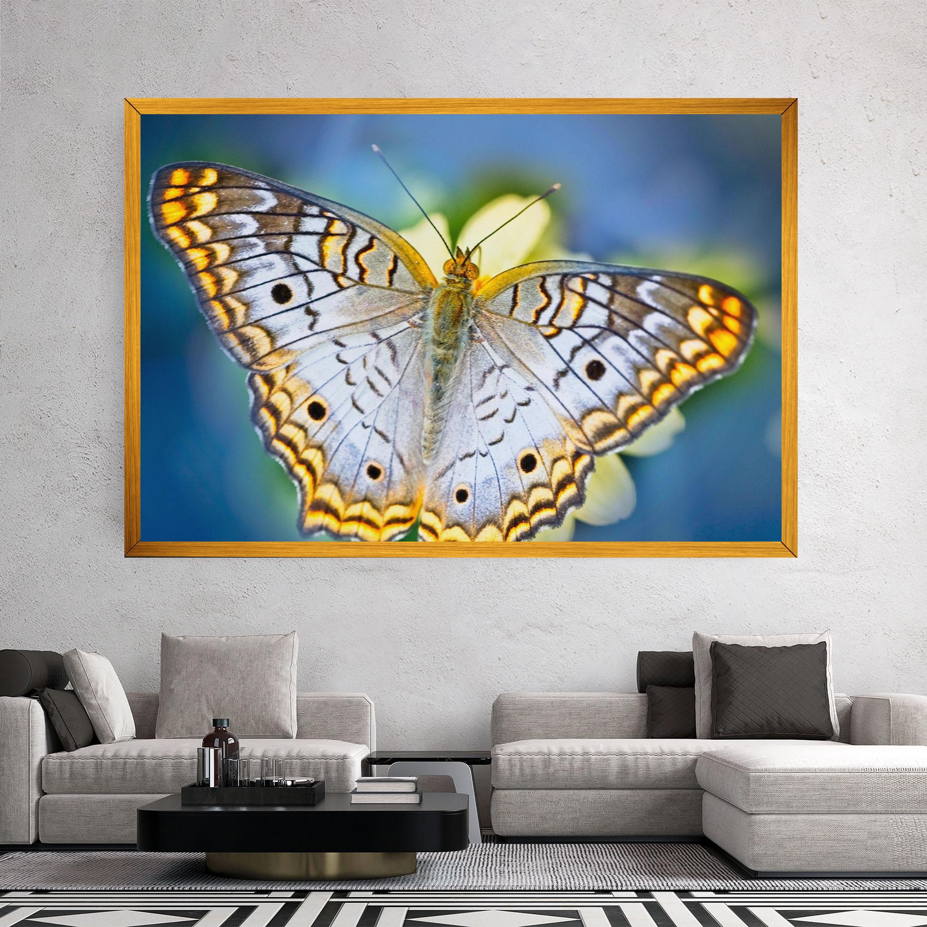 Vászonkép Yellow Grey Butterfly mockup 2