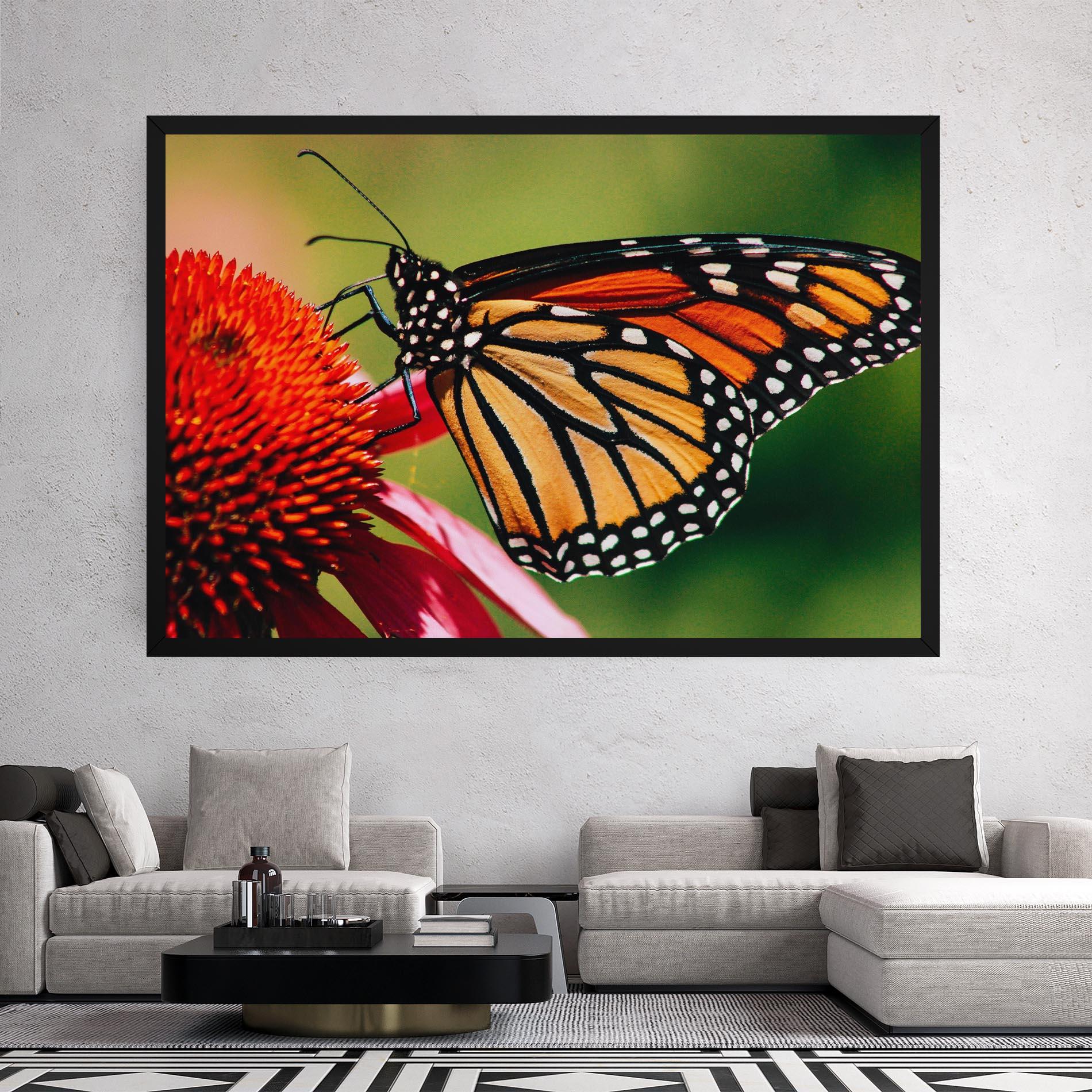 Vászonkép Big Orange Butterfly mockup 2