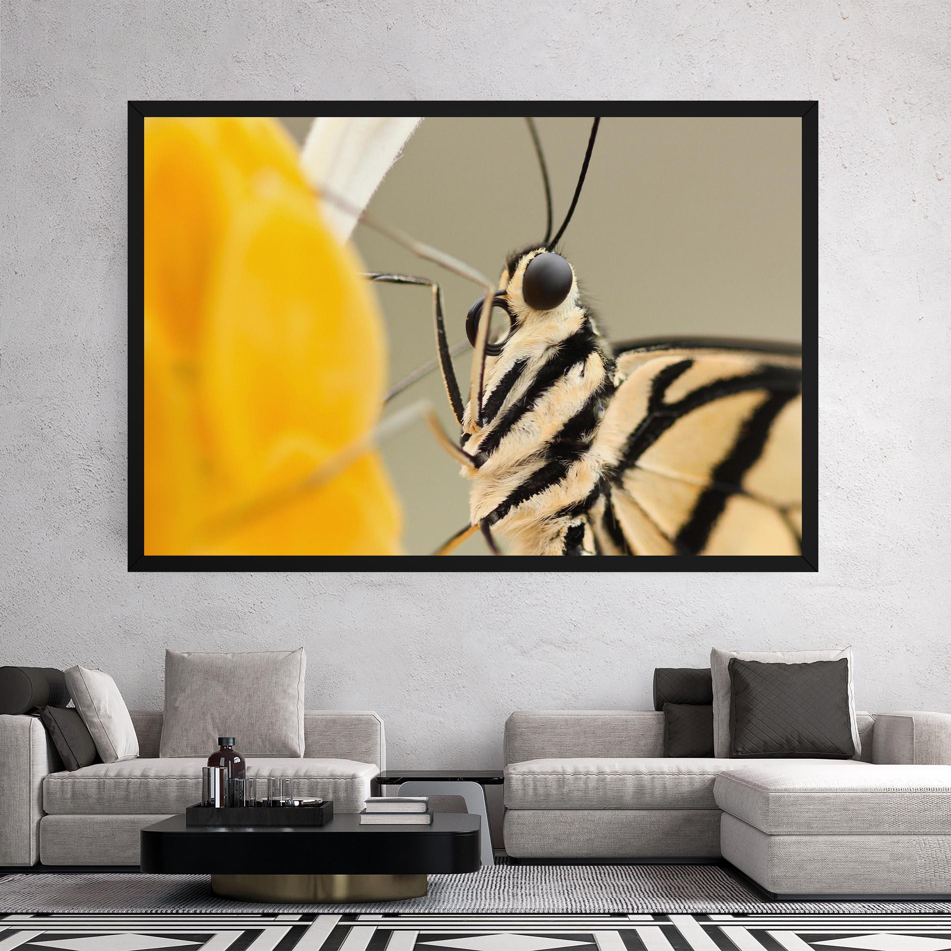 Vászonkép Close Up Cream Butterfly mockup 2