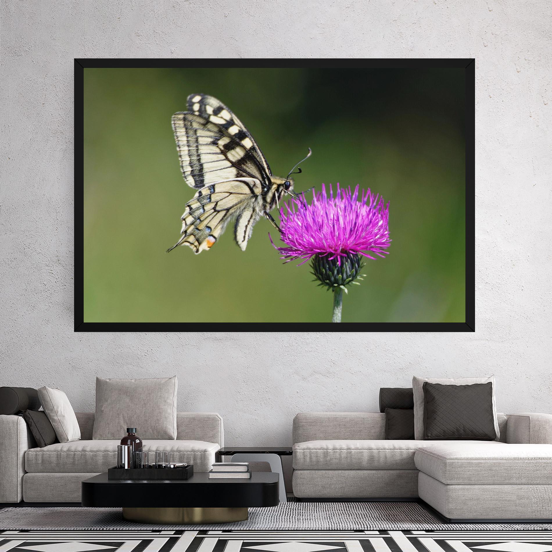 Vászonkép White Butterfly Pollen mockup 2