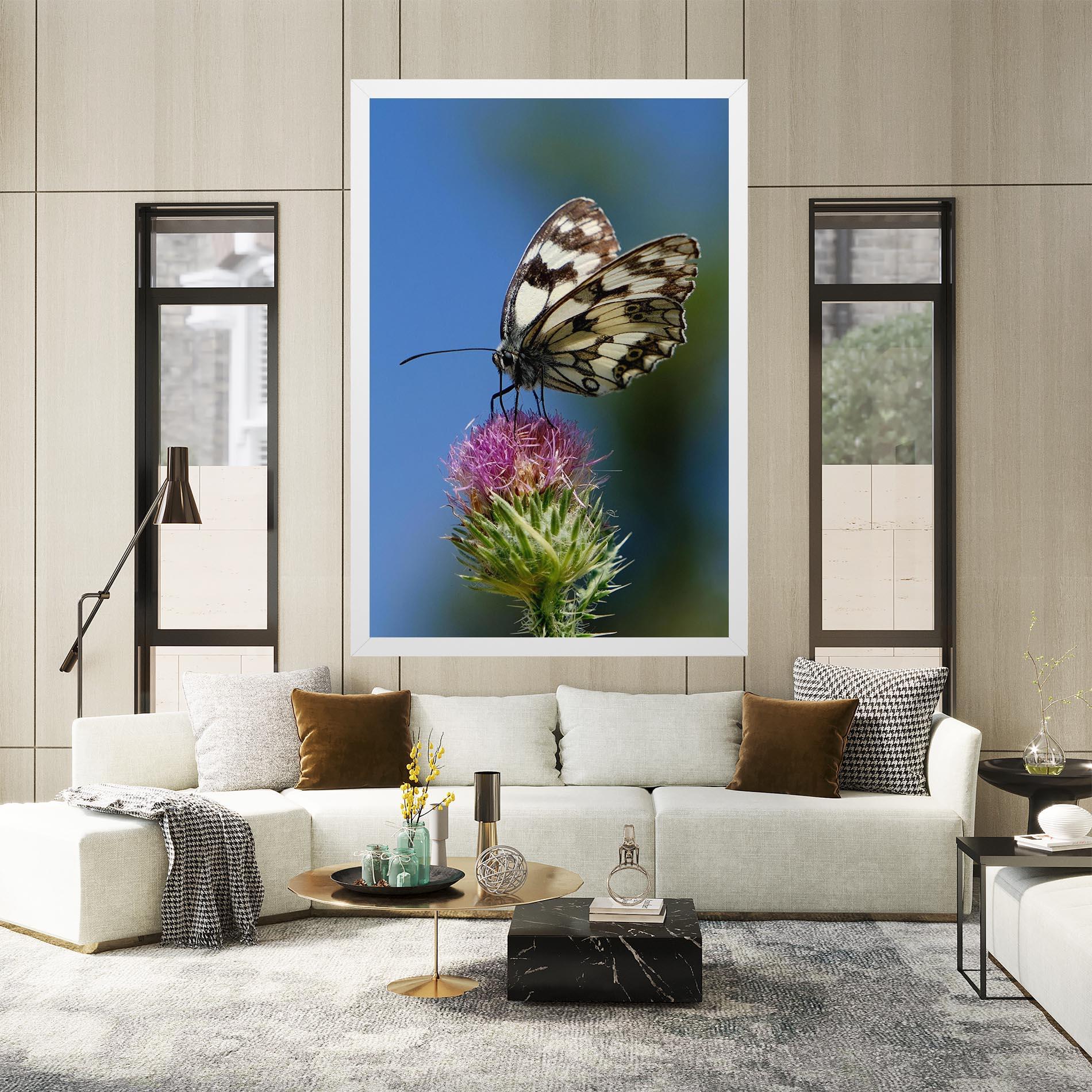 Vászonkép Grey White Butterfly mockup 2