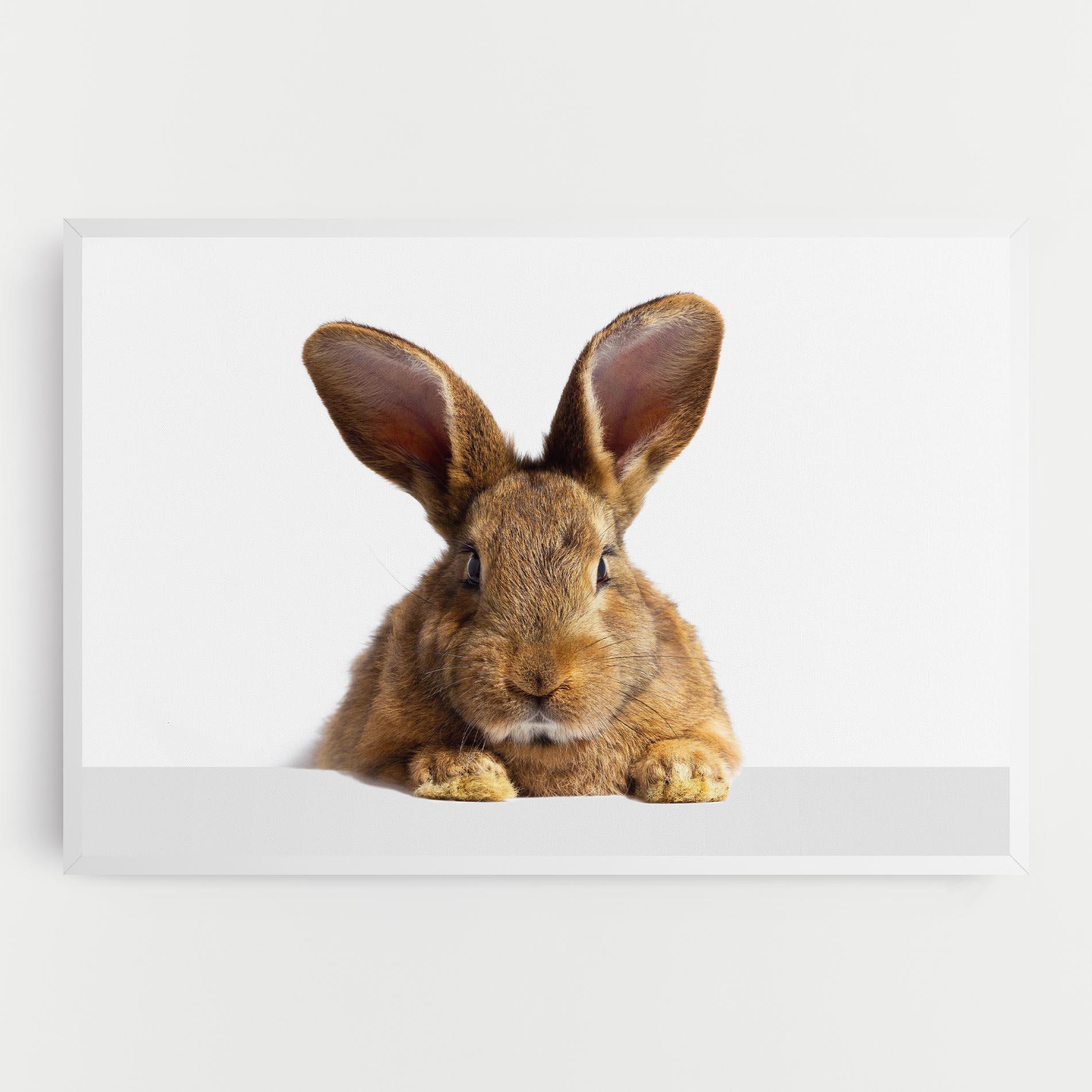 Vászonkép Brown Cute Bunny mockup 0