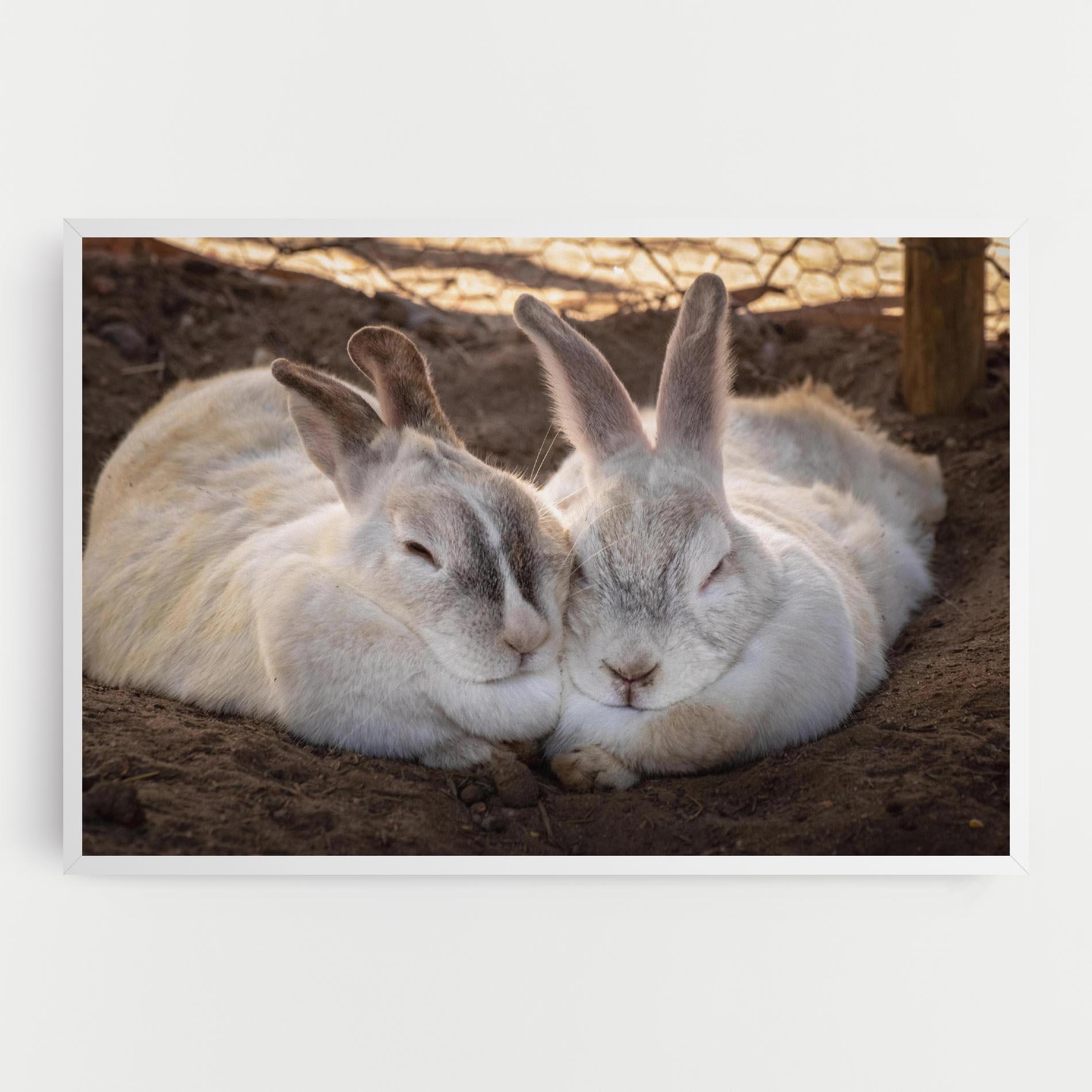 Vászonkép Light Grey Bunny Sleeping mockup 0