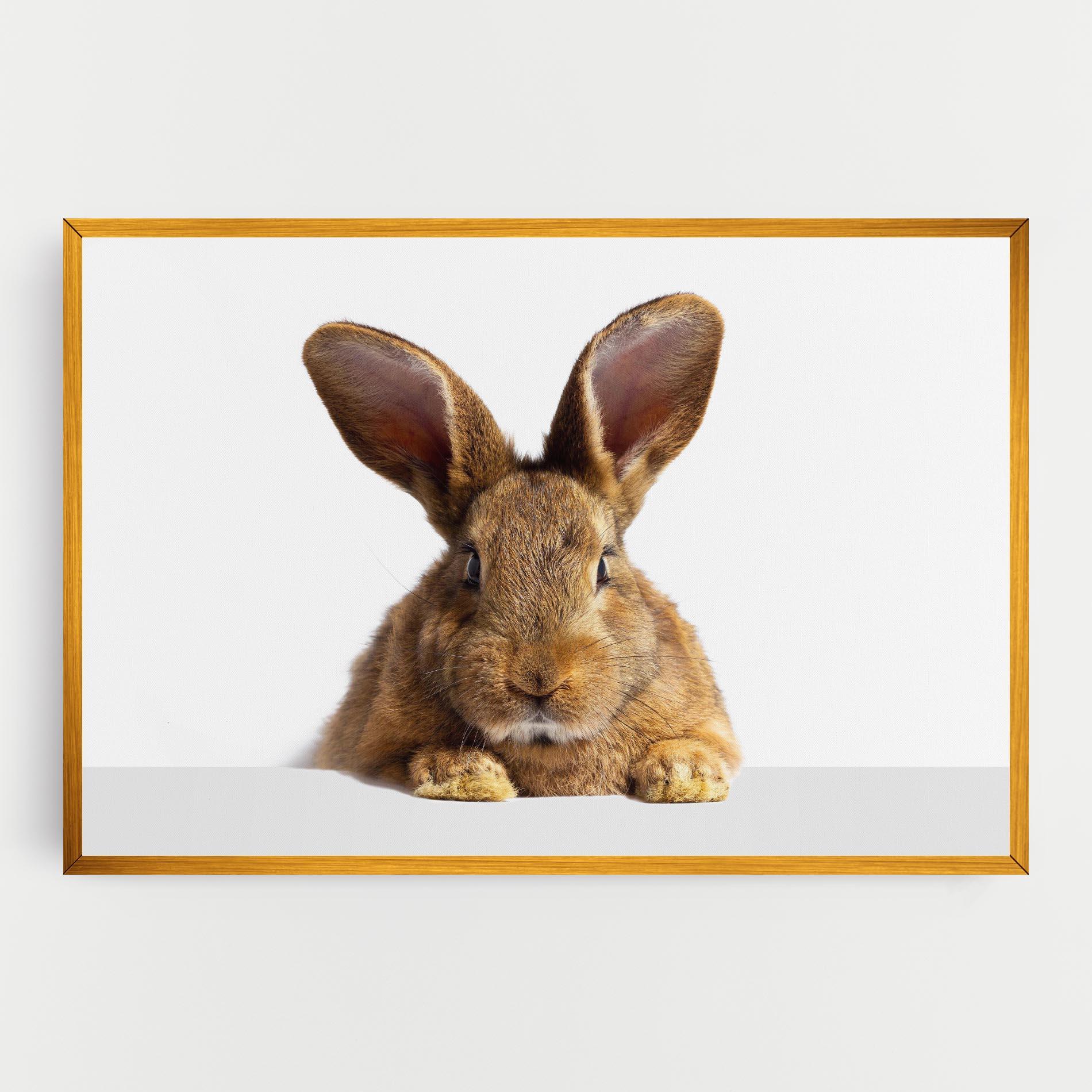 Vászonkép Brown Cute Bunny mockup 0