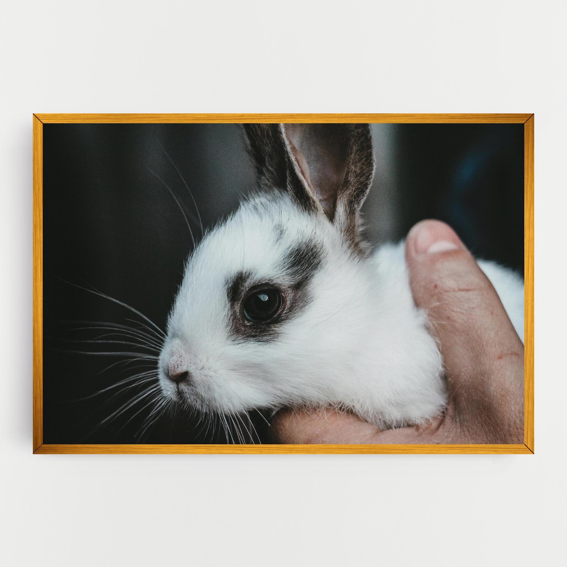 Vászonkép Holding Cute Bunny mockup 0