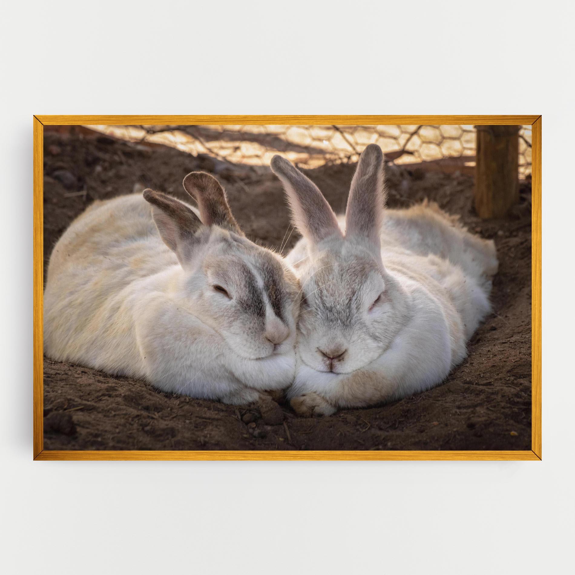 Vászonkép Light Grey Bunny Sleeping mockup 0