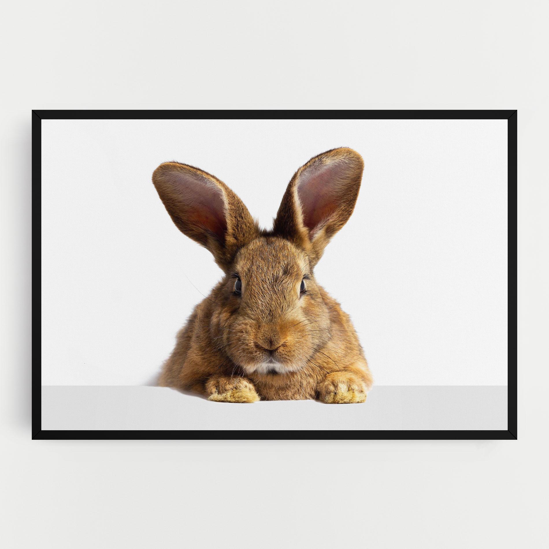 Vászonkép Brown Cute Bunny mockup 0