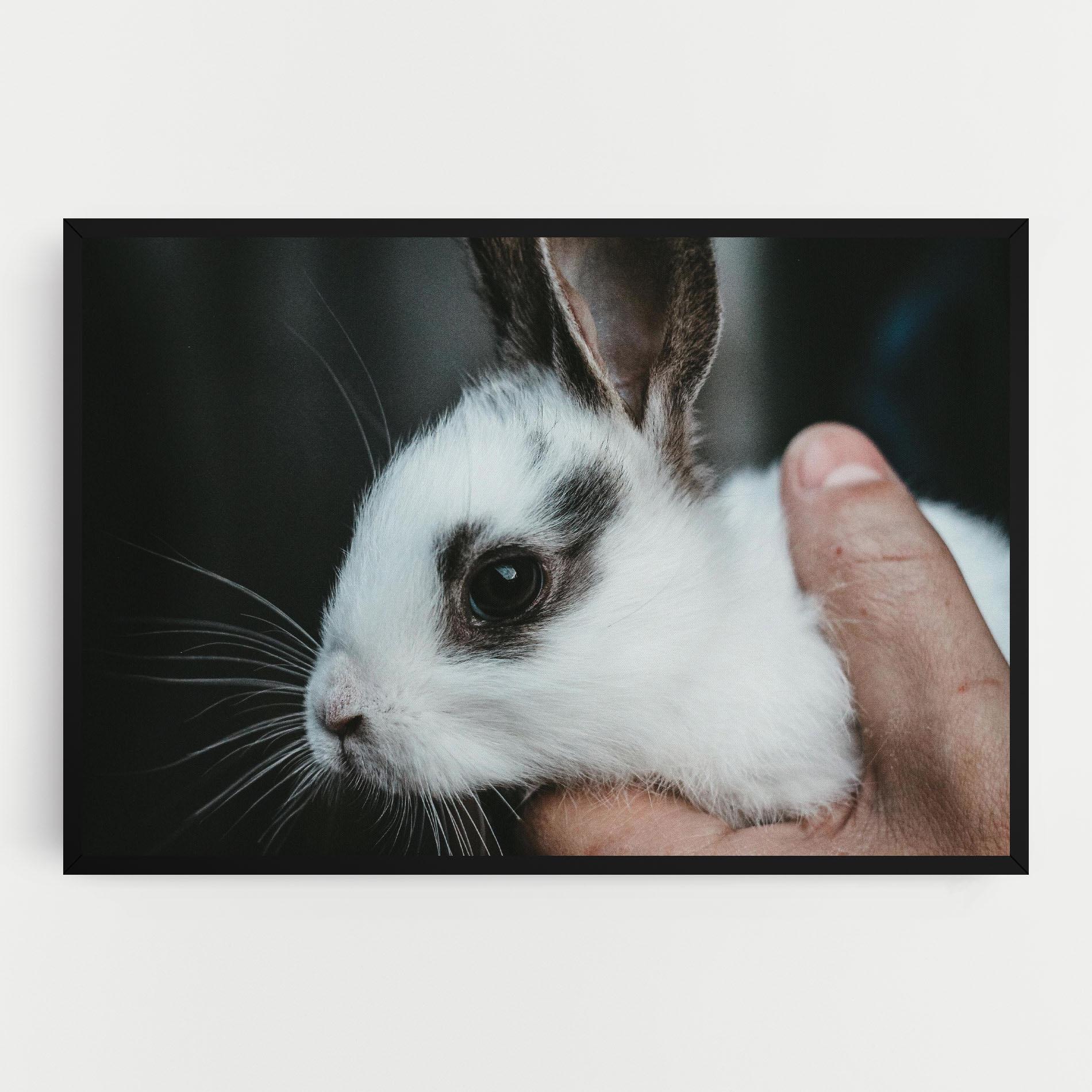 Vászonkép Holding Cute Bunny mockup 0