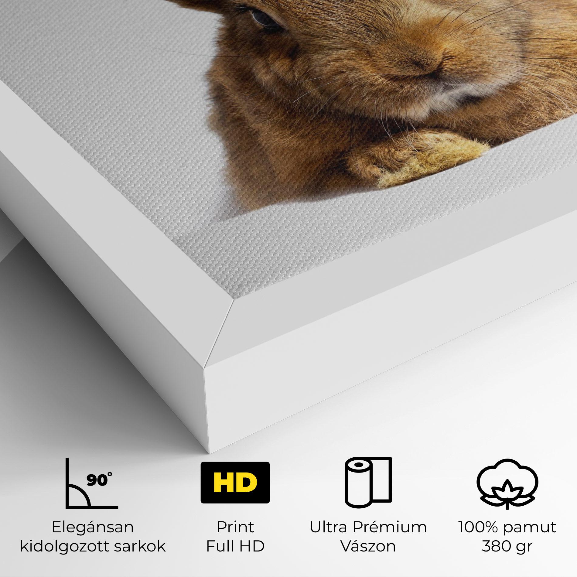 Vászonkép Brown Cute Bunny mockup 4