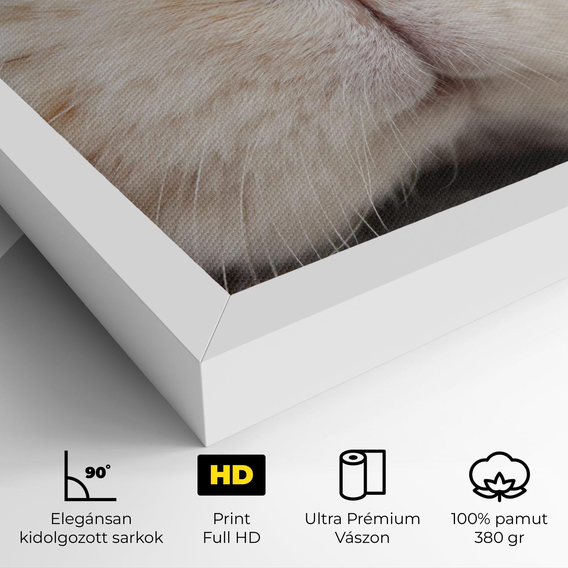 Vászonkép Close Up Bunny mockup 4