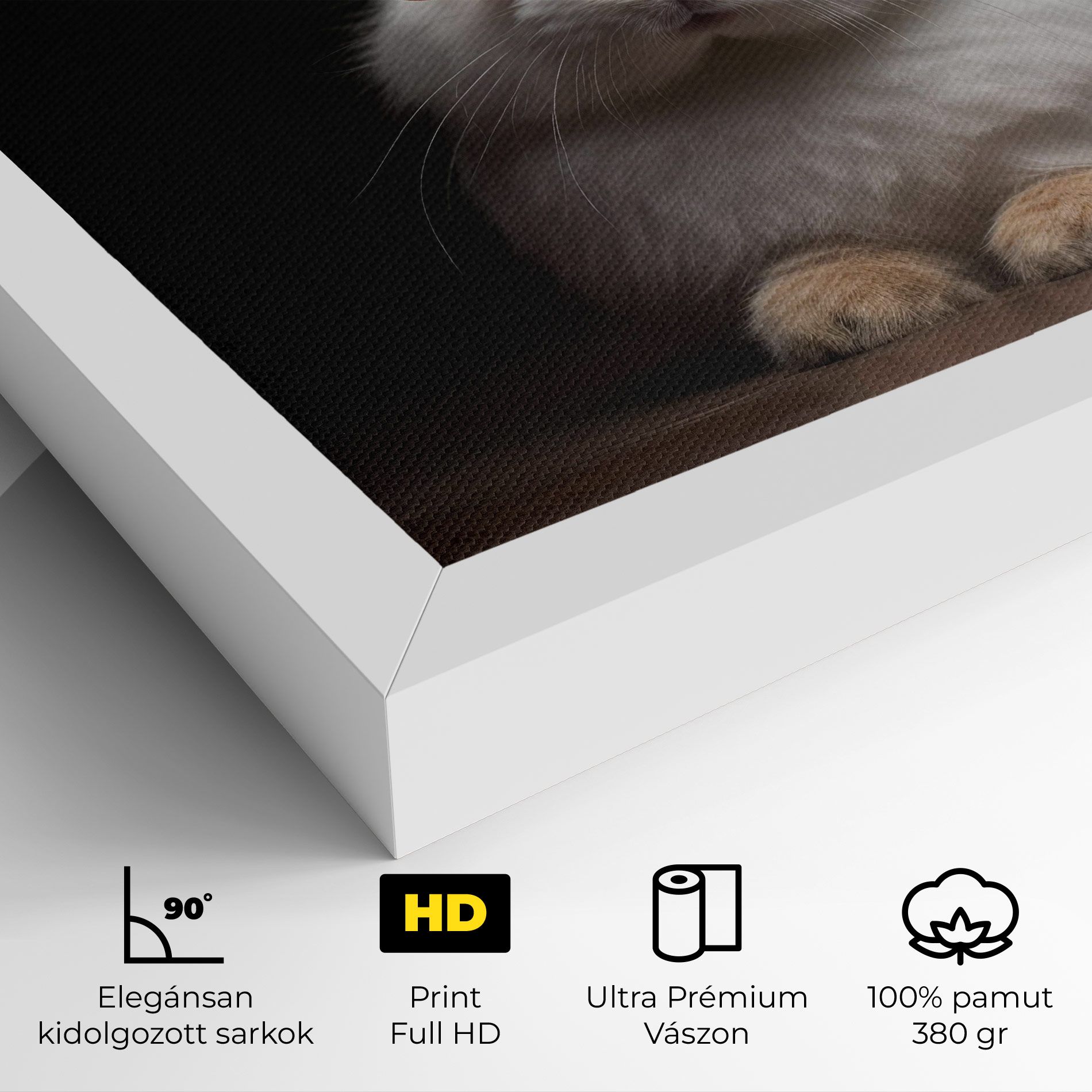 Eyeglasses Bunny mockup 4