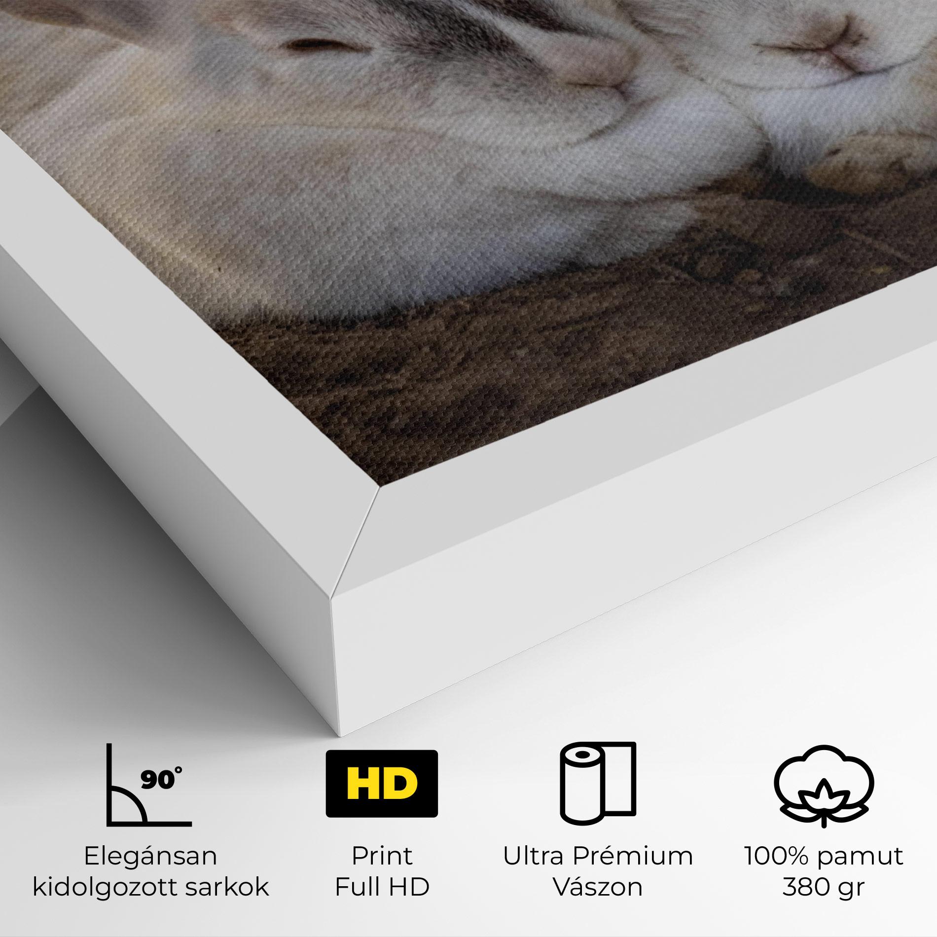 Vászonkép Light Grey Bunny Sleeping mockup 4