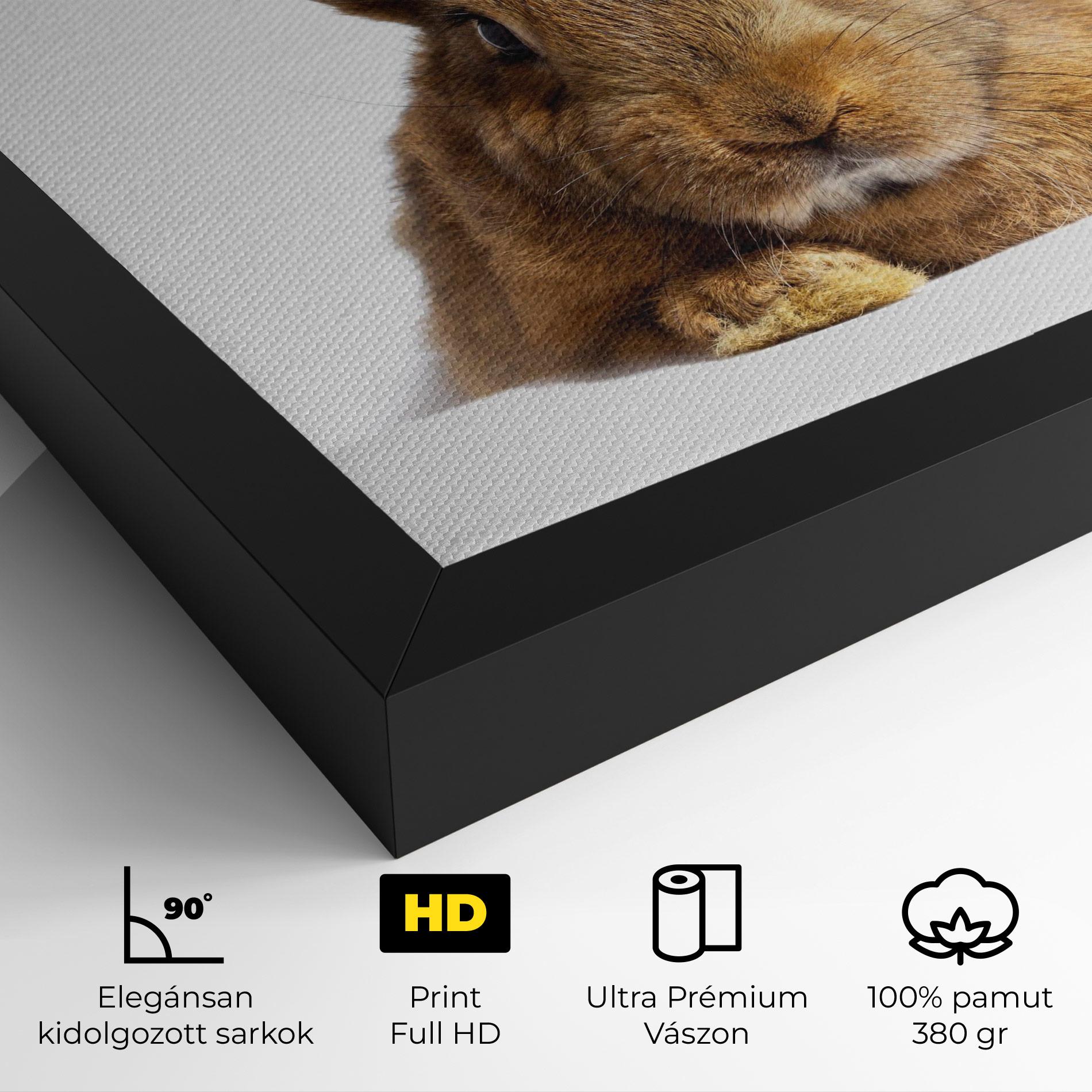 Vászonkép Brown Cute Bunny mockup 4