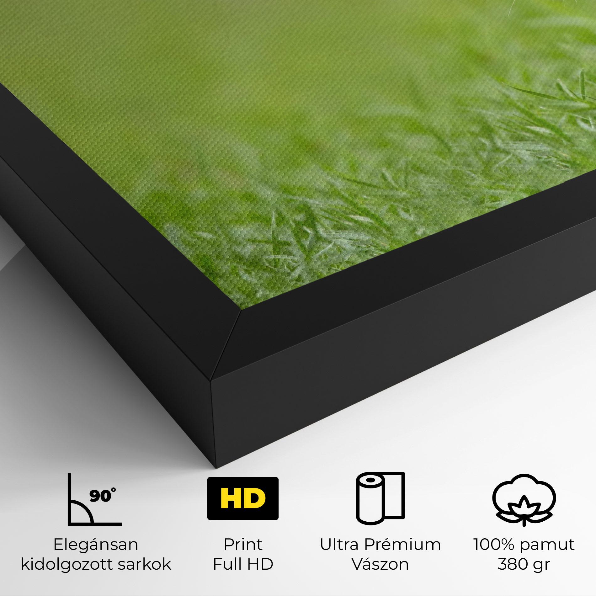 Vászonkép Brown Hares mockup 4