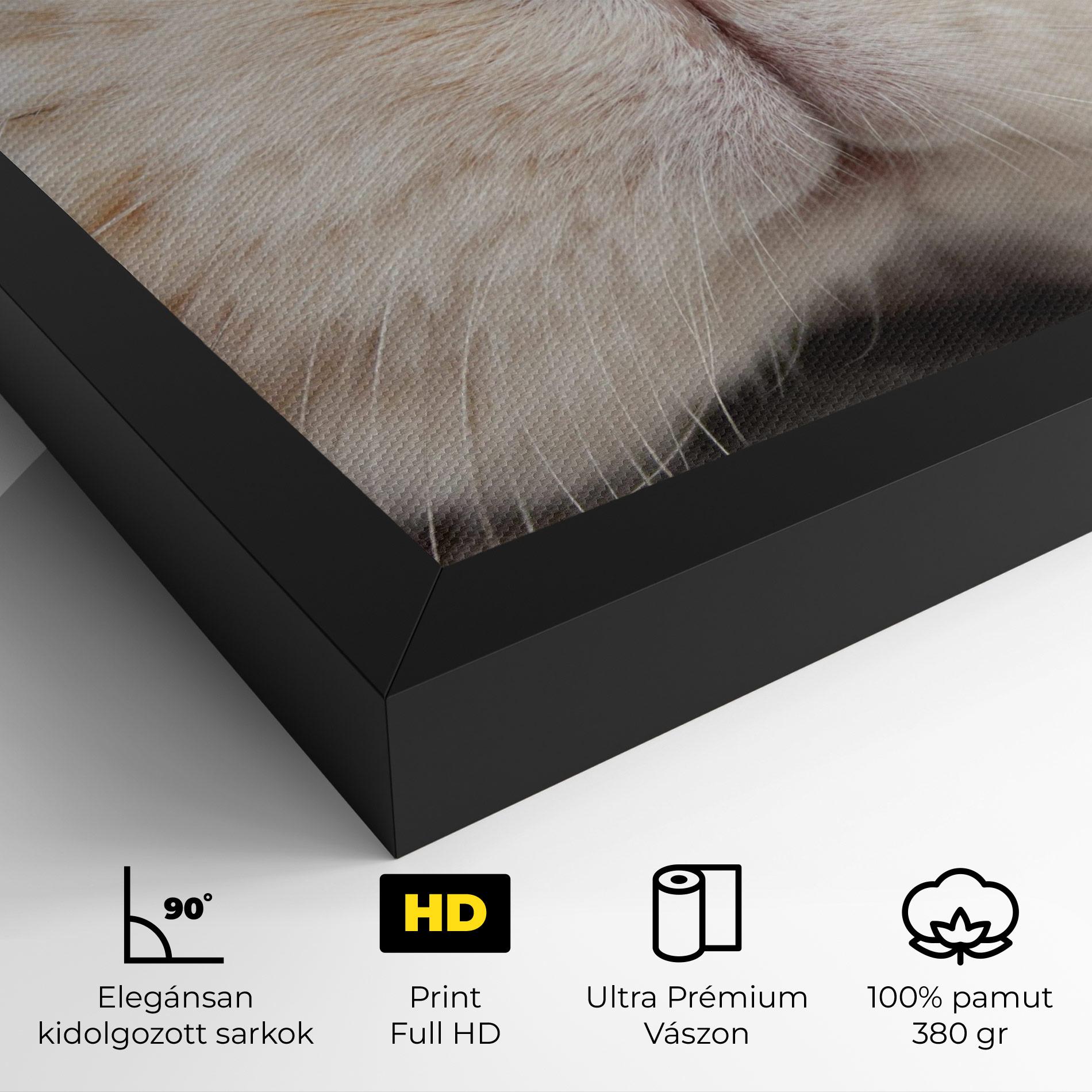 Vászonkép Close Up Bunny mockup 4