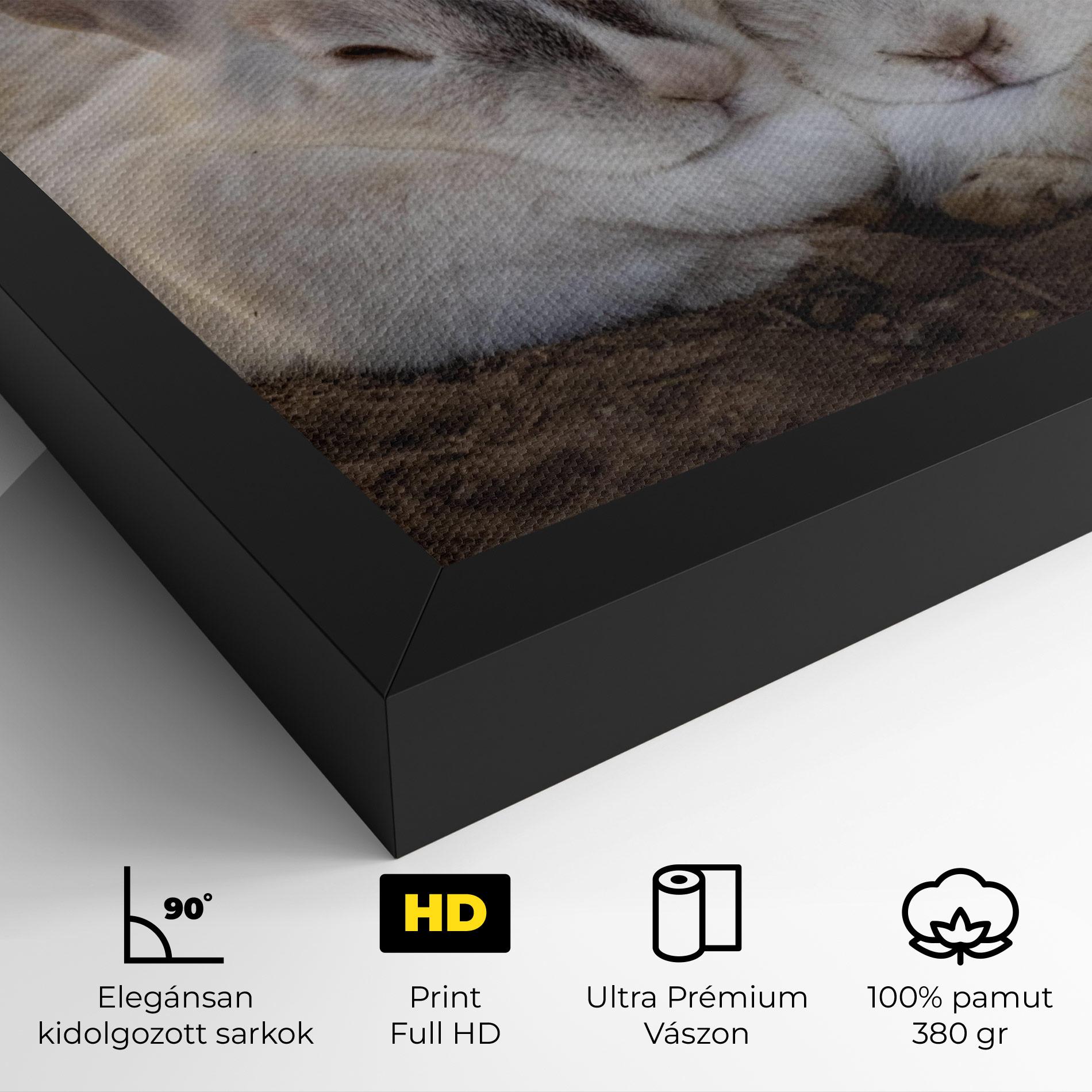 Vászonkép Light Grey Bunny Sleeping mockup 4