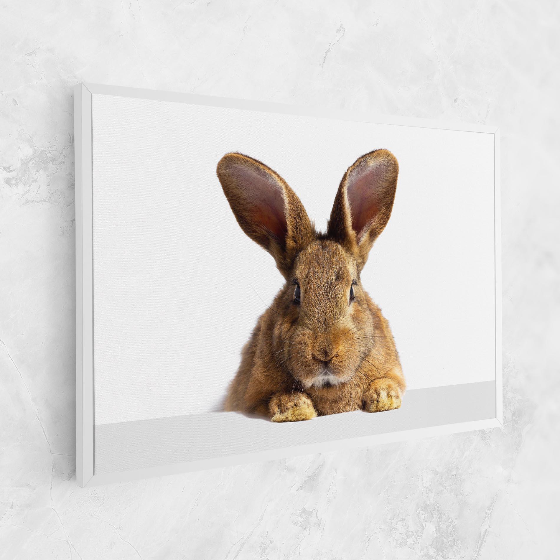 Vászonkép Brown Cute Bunny mockup 1