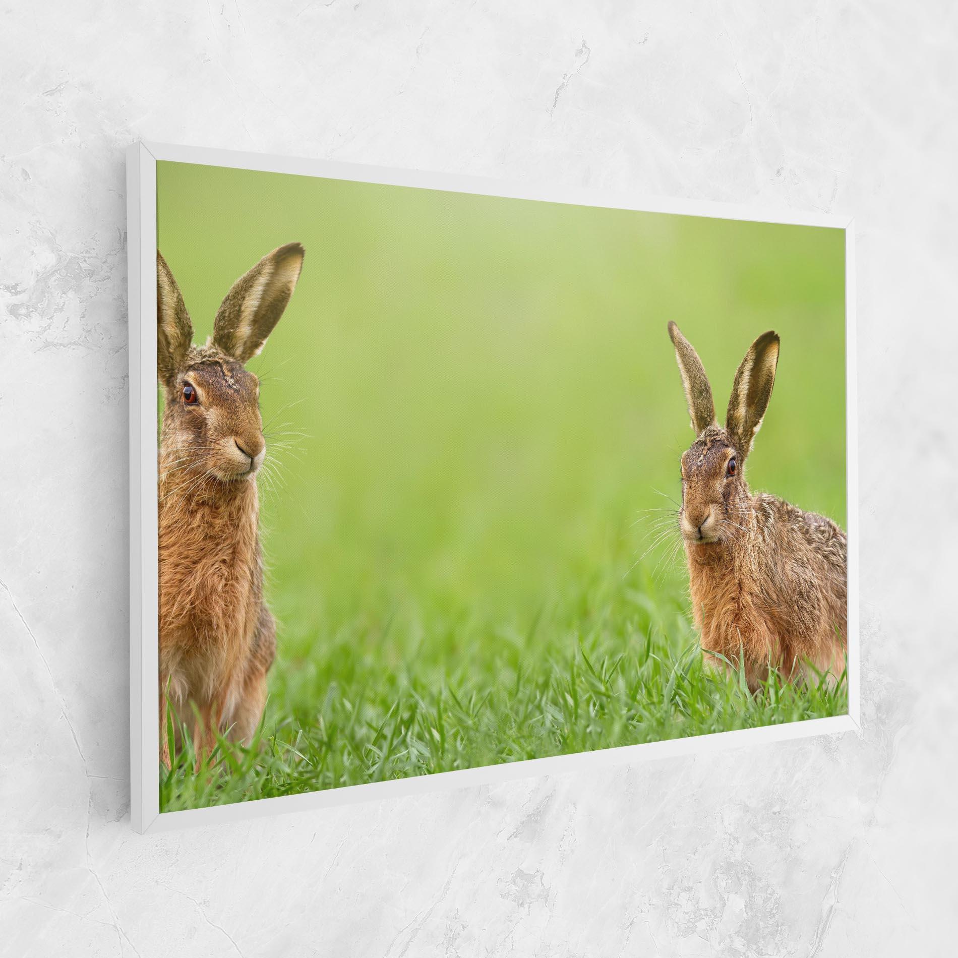 Vászonkép Brown Hares mockup 1