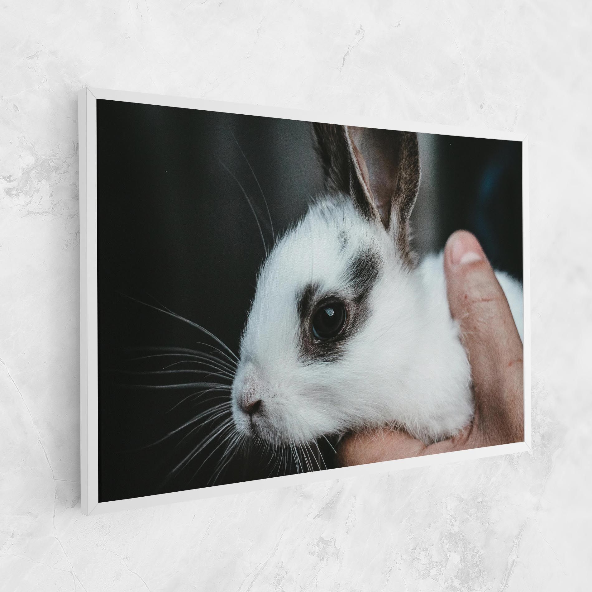 Holding Cute Bunny mockup 1