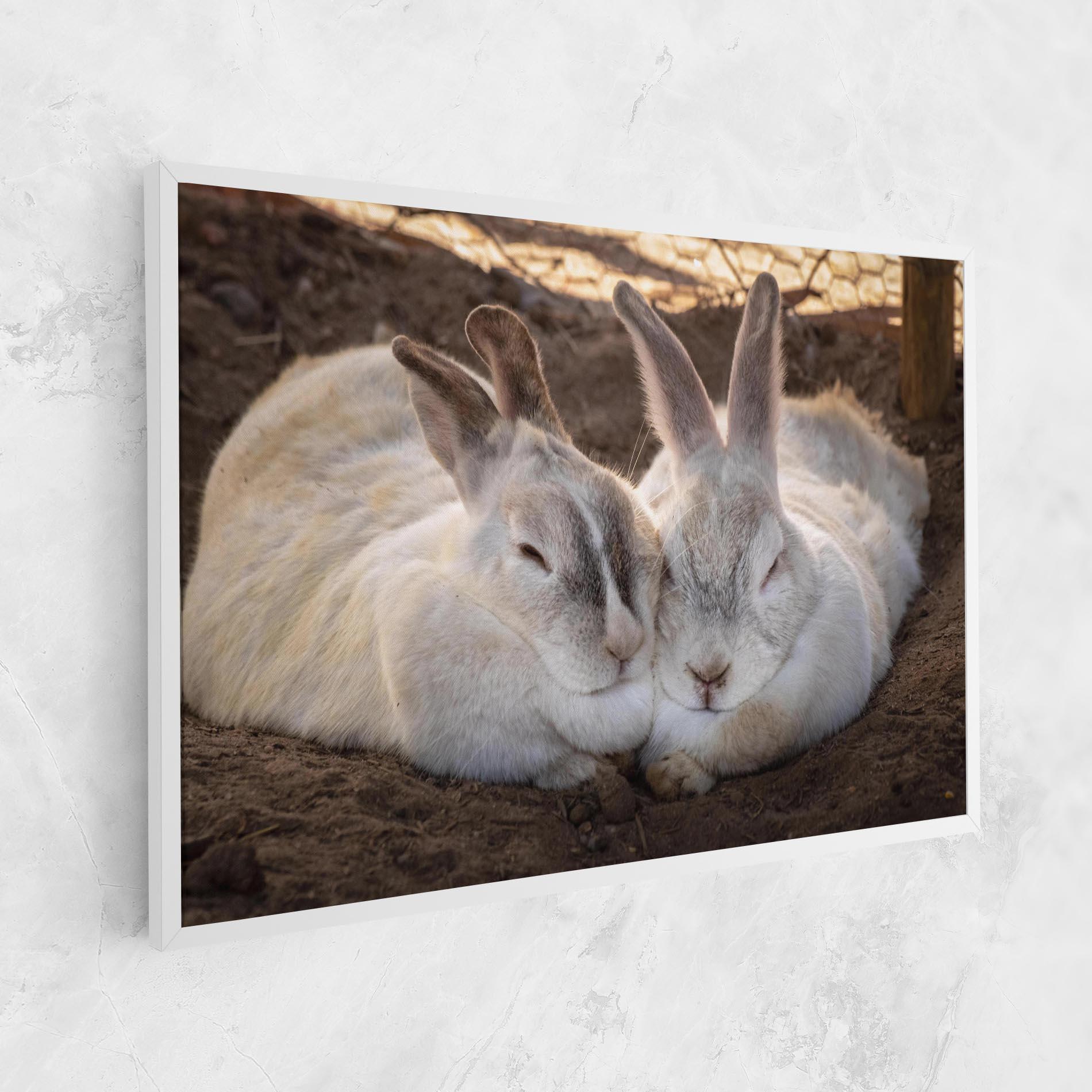 Vászonkép Light Grey Bunny Sleeping mockup 1