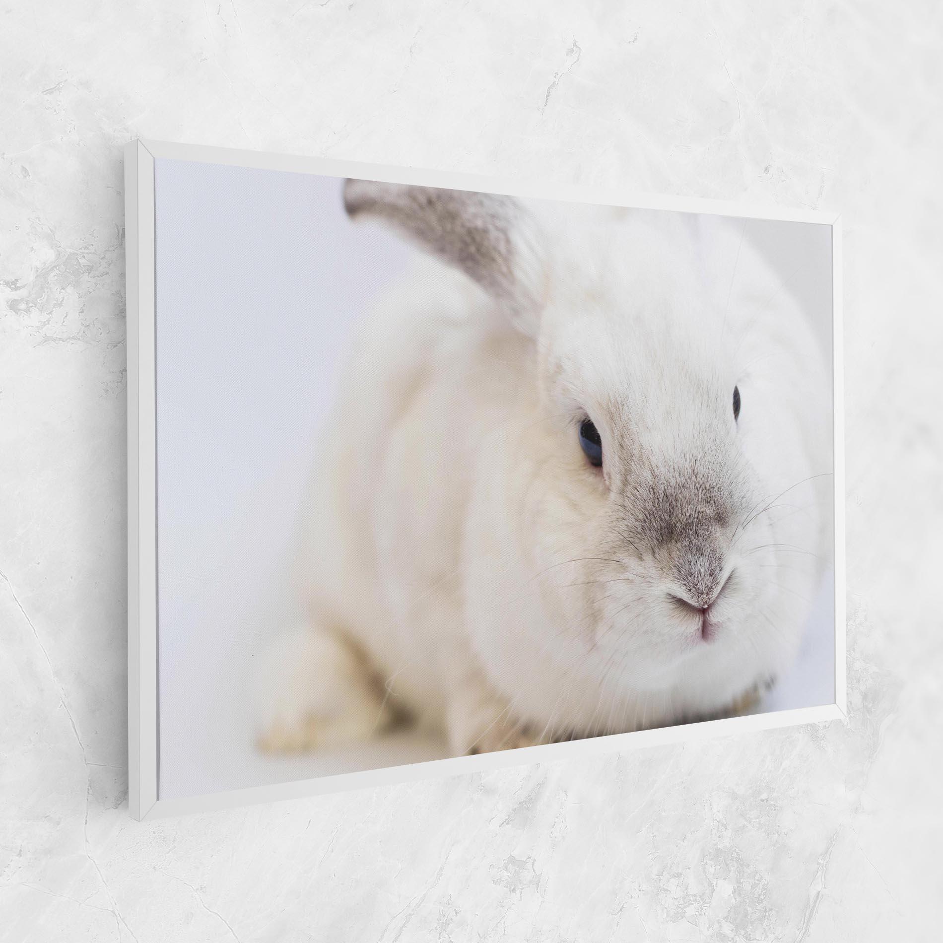 Vászonkép Light Grey Bunny mockup 1