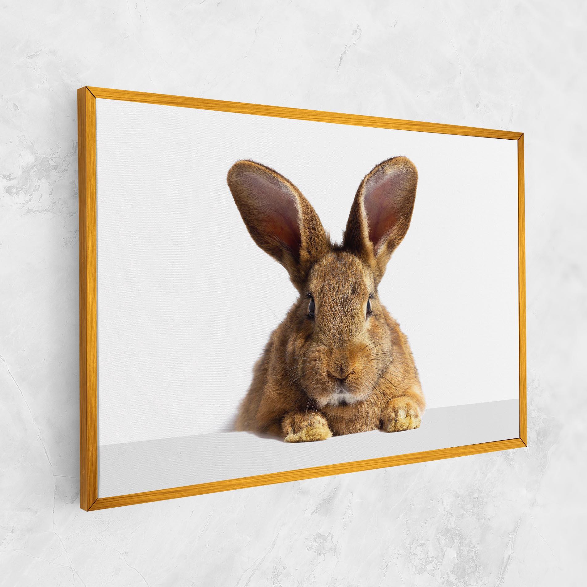 Vászonkép Brown Cute Bunny mockup 1
