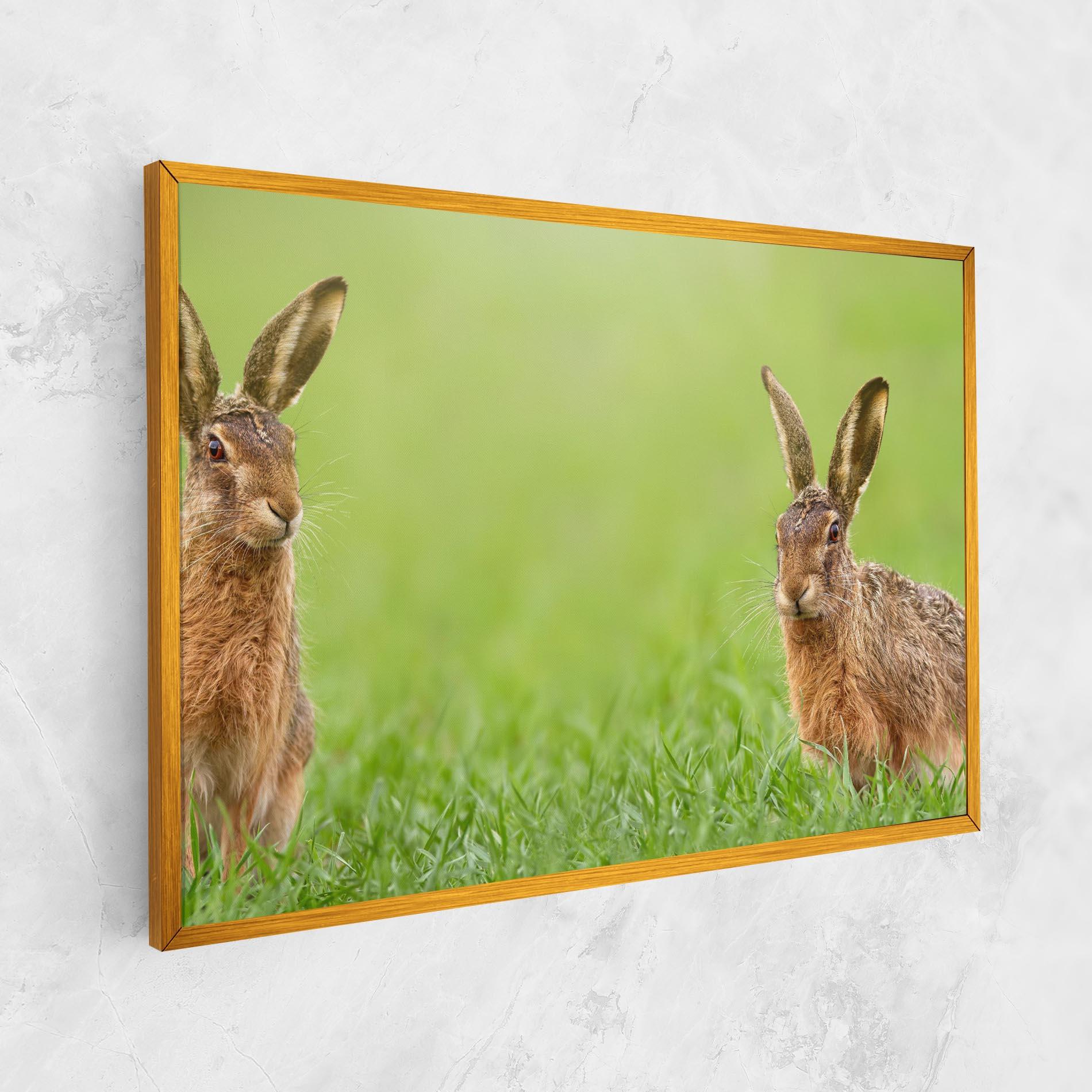 Vászonkép Brown Hares mockup 1