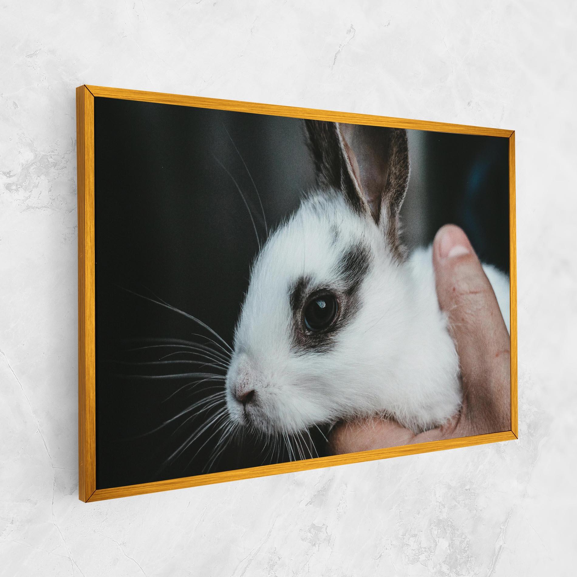 Vászonkép Holding Cute Bunny mockup 1