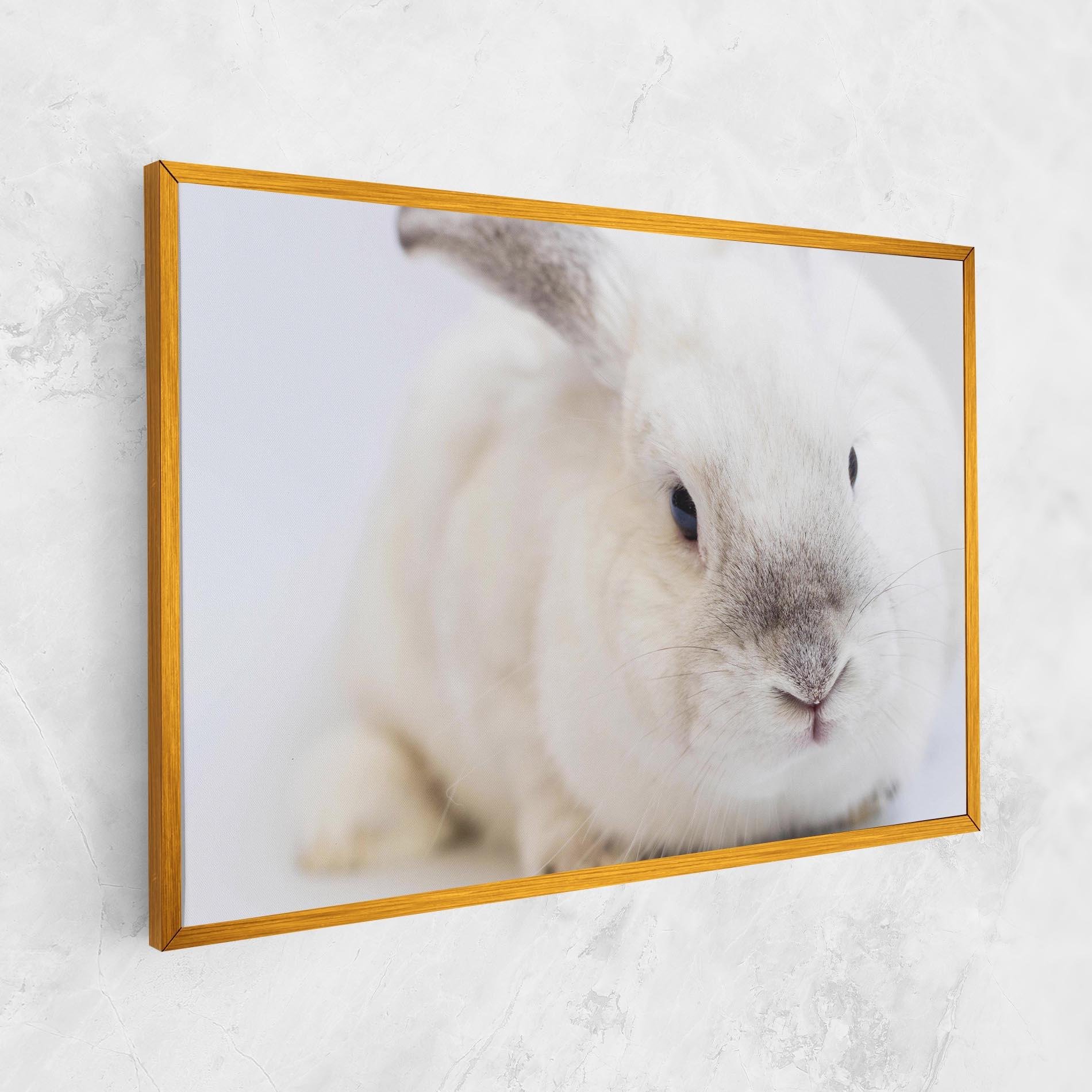 Vászonkép Light Grey Bunny mockup 1
