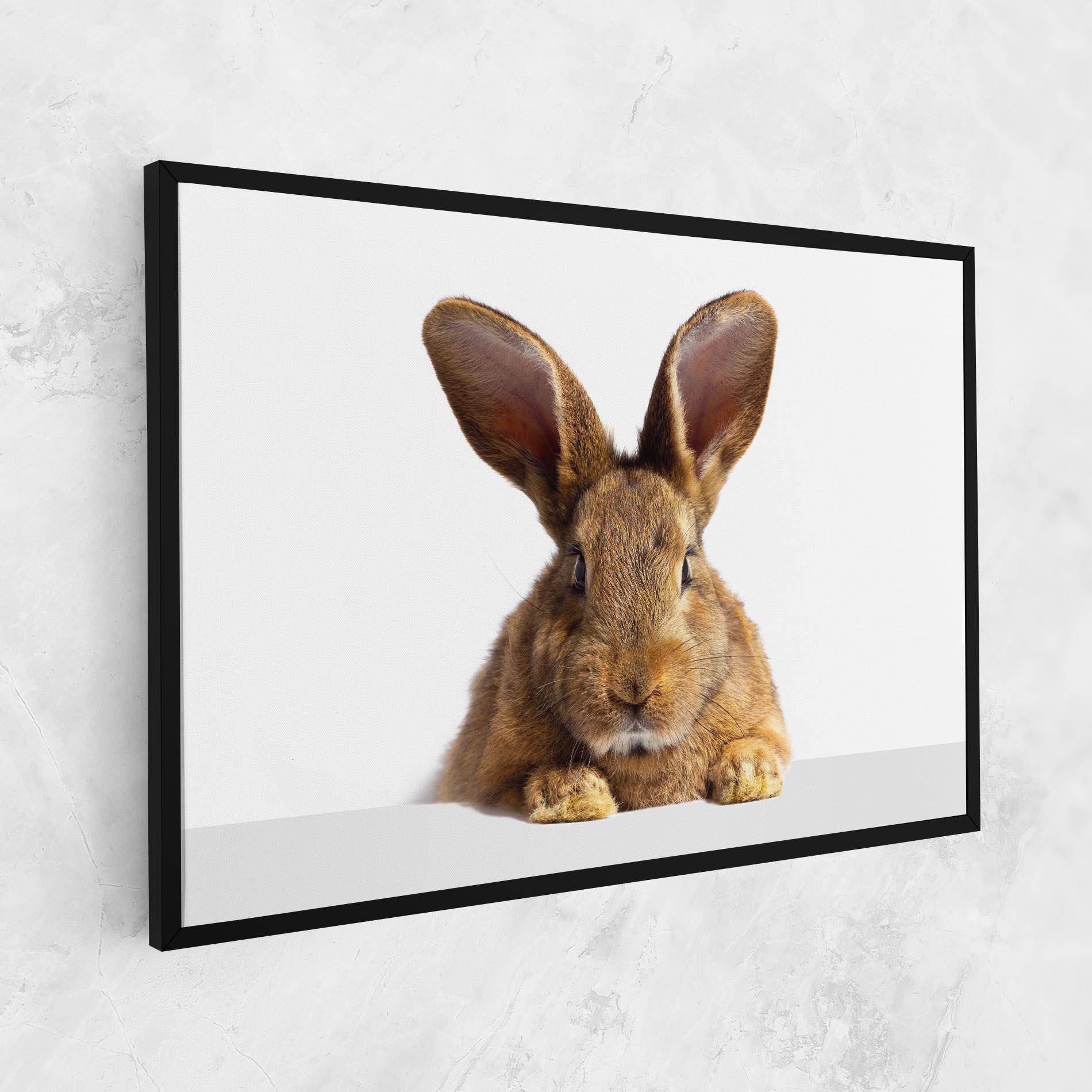 Vászonkép Brown Cute Bunny mockup 1
