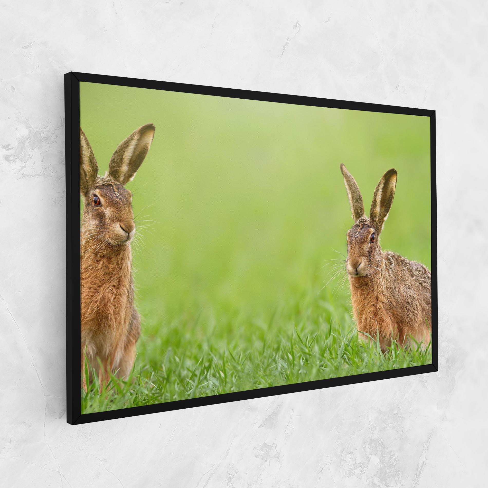 Vászonkép Brown Hares mockup 1