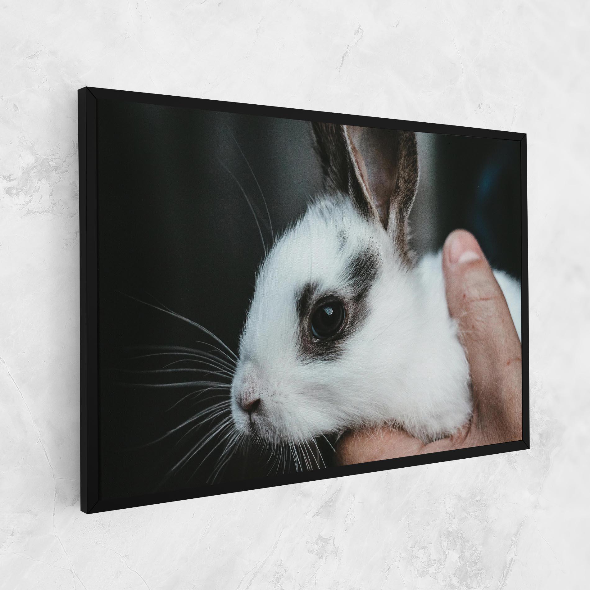 Vászonkép Holding Cute Bunny mockup 1