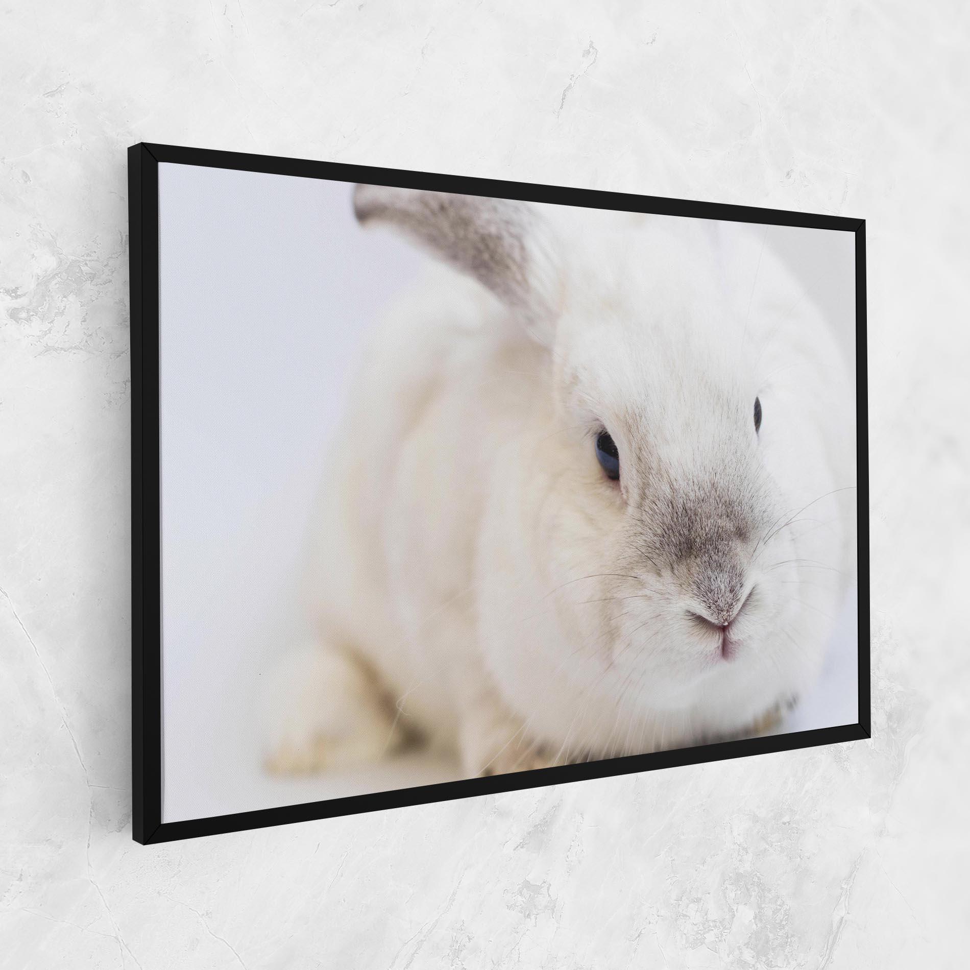 Vászonkép Light Grey Bunny mockup 1