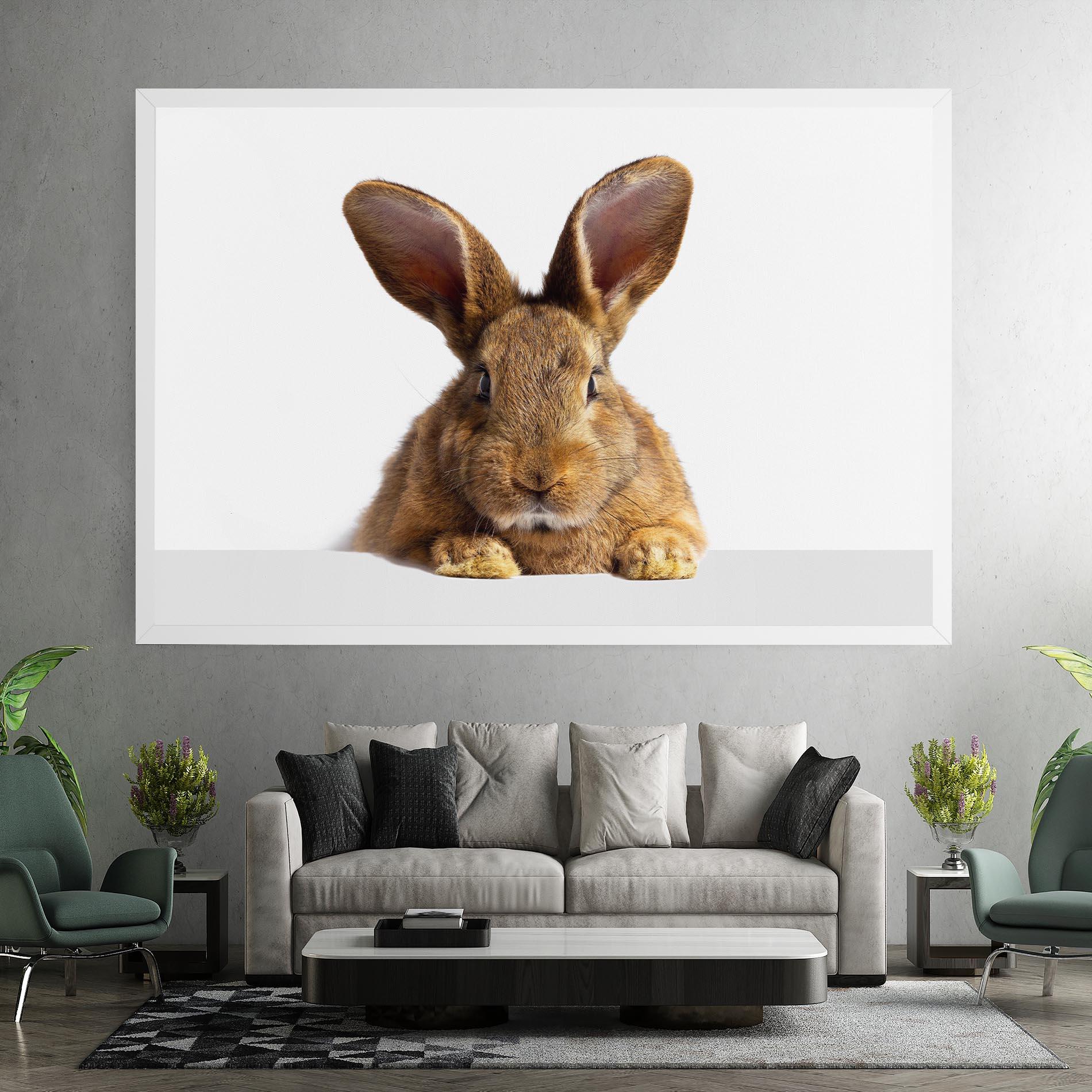 Vászonkép Brown Cute Bunny mockup 7