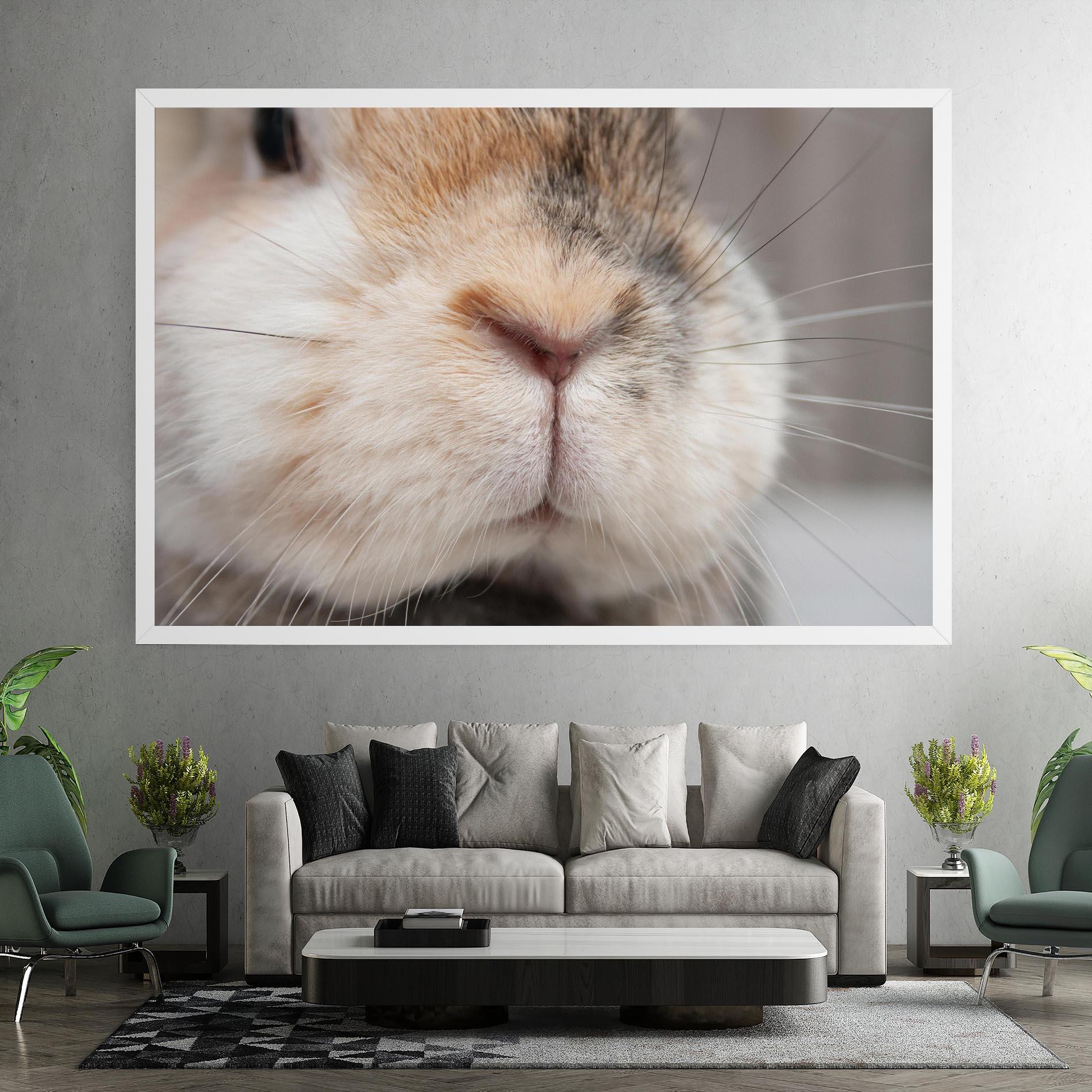 Vászonkép Close Up Bunny mockup 7