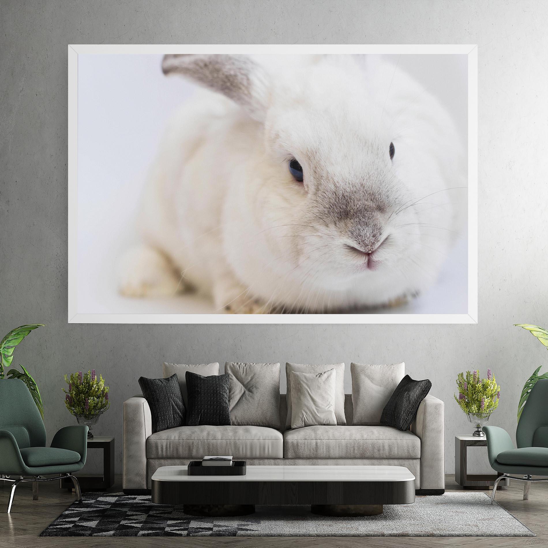 Vászonkép Light Grey Bunny mockup 7