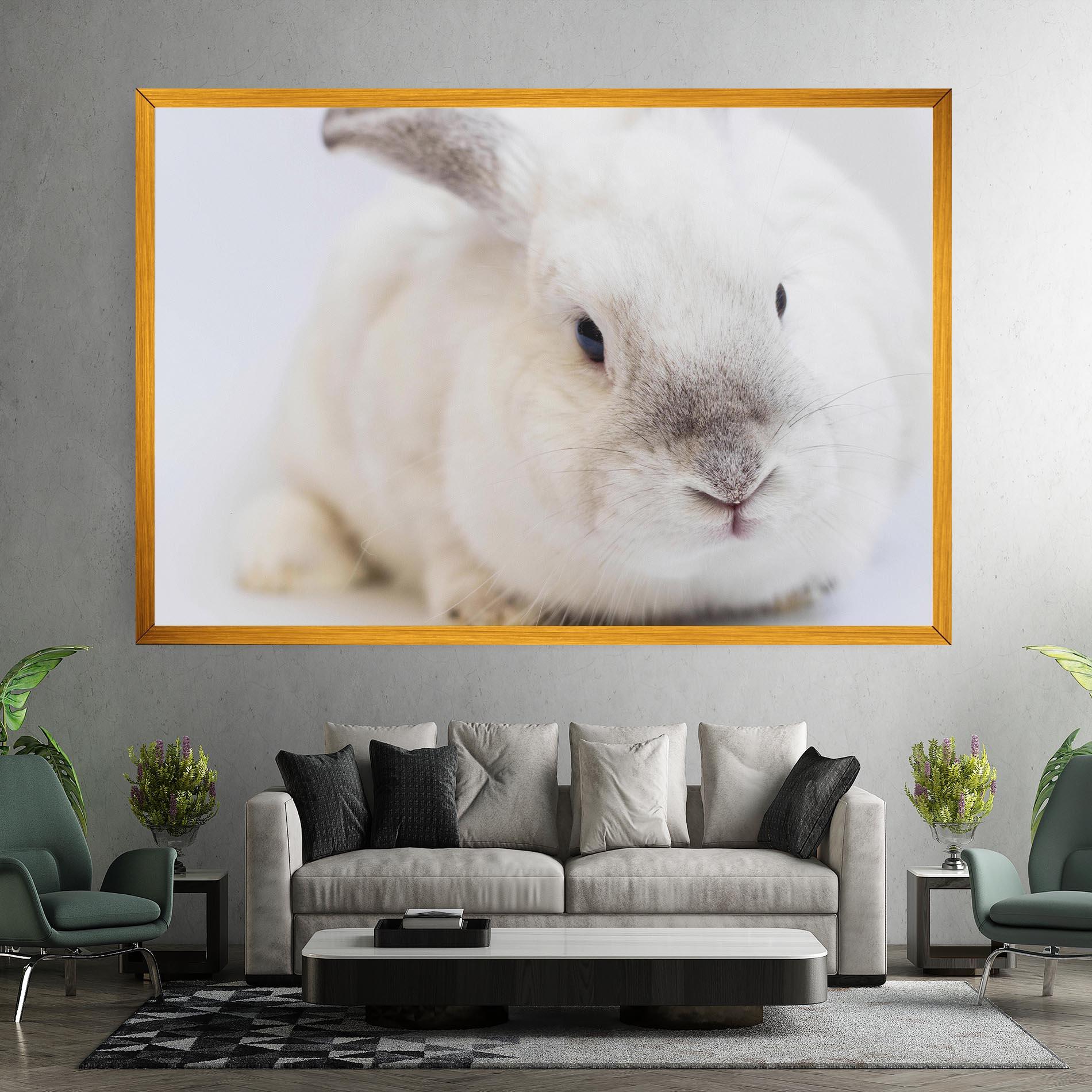 Vászonkép Light Grey Bunny mockup 7