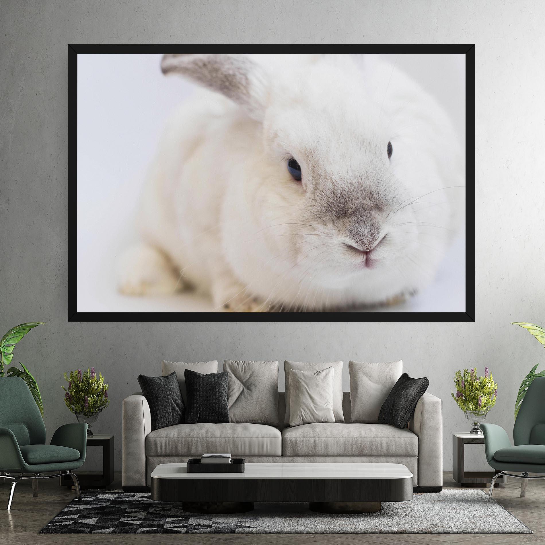 Vászonkép Light Grey Bunny mockup 7