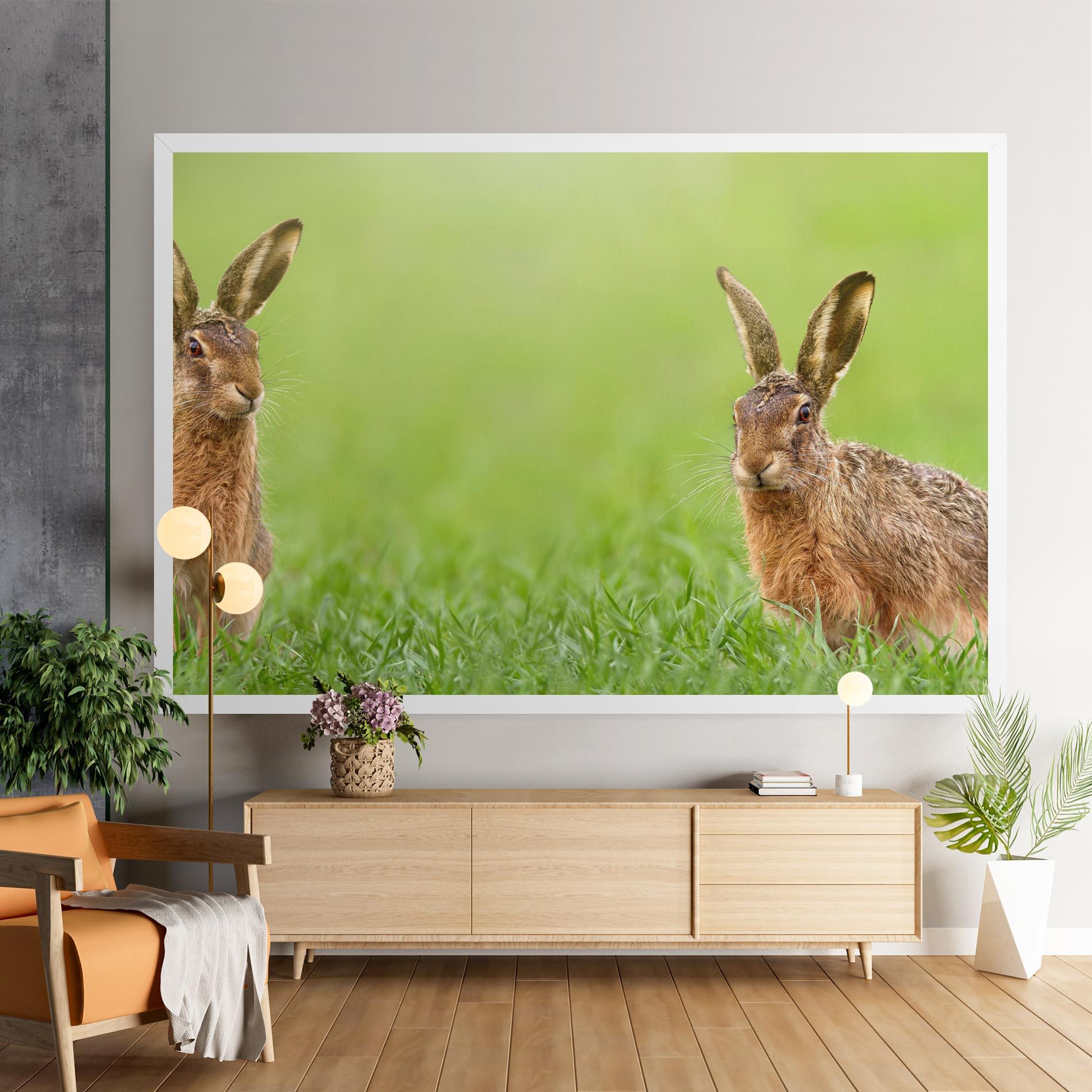 Vászonkép Brown Hares mockup 9