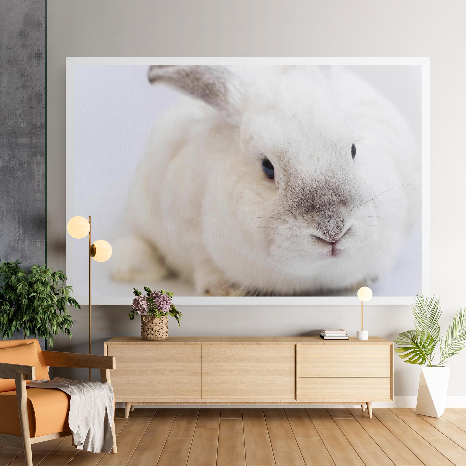 Vászonkép Light Grey Bunny mockup 9