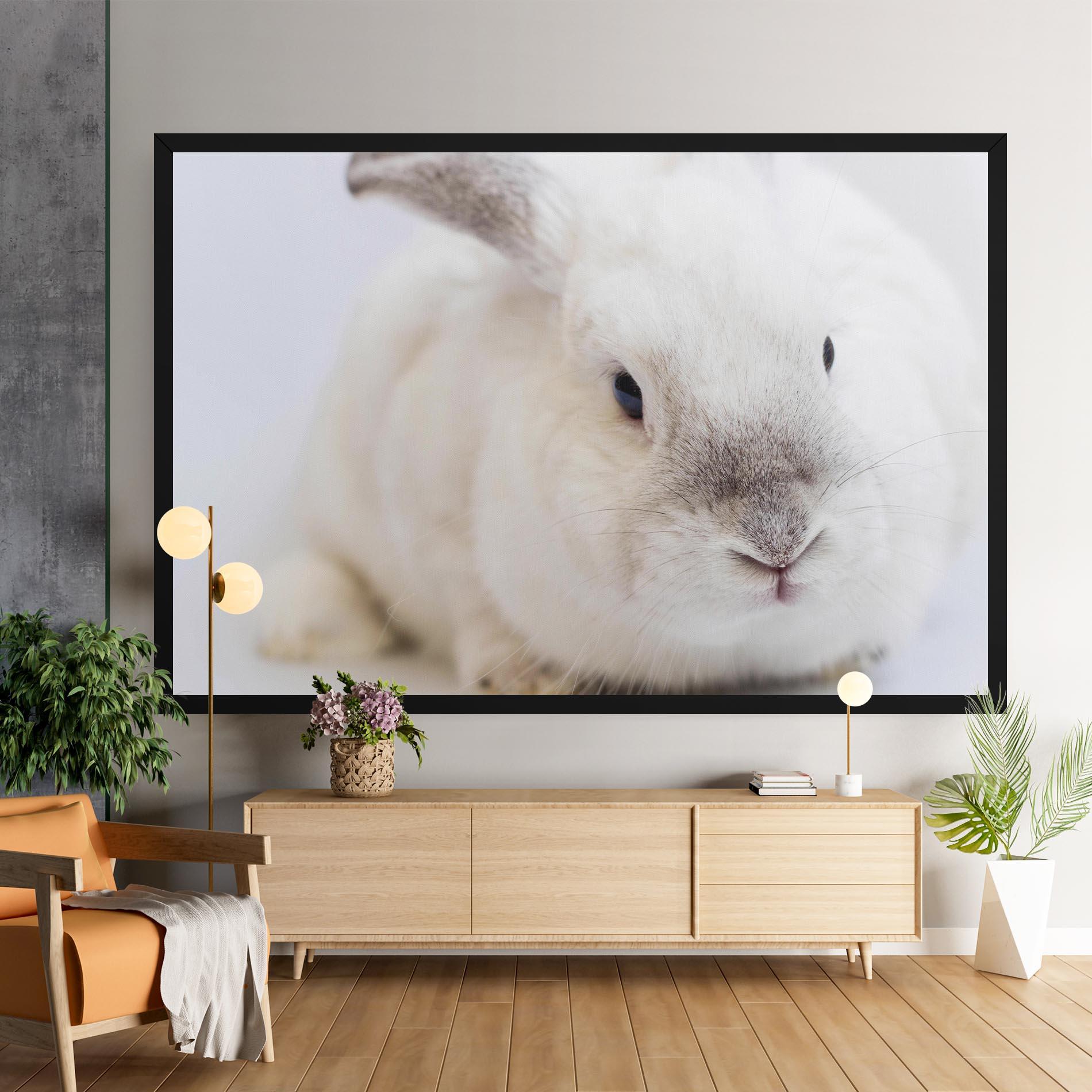 Vászonkép Light Grey Bunny mockup 9