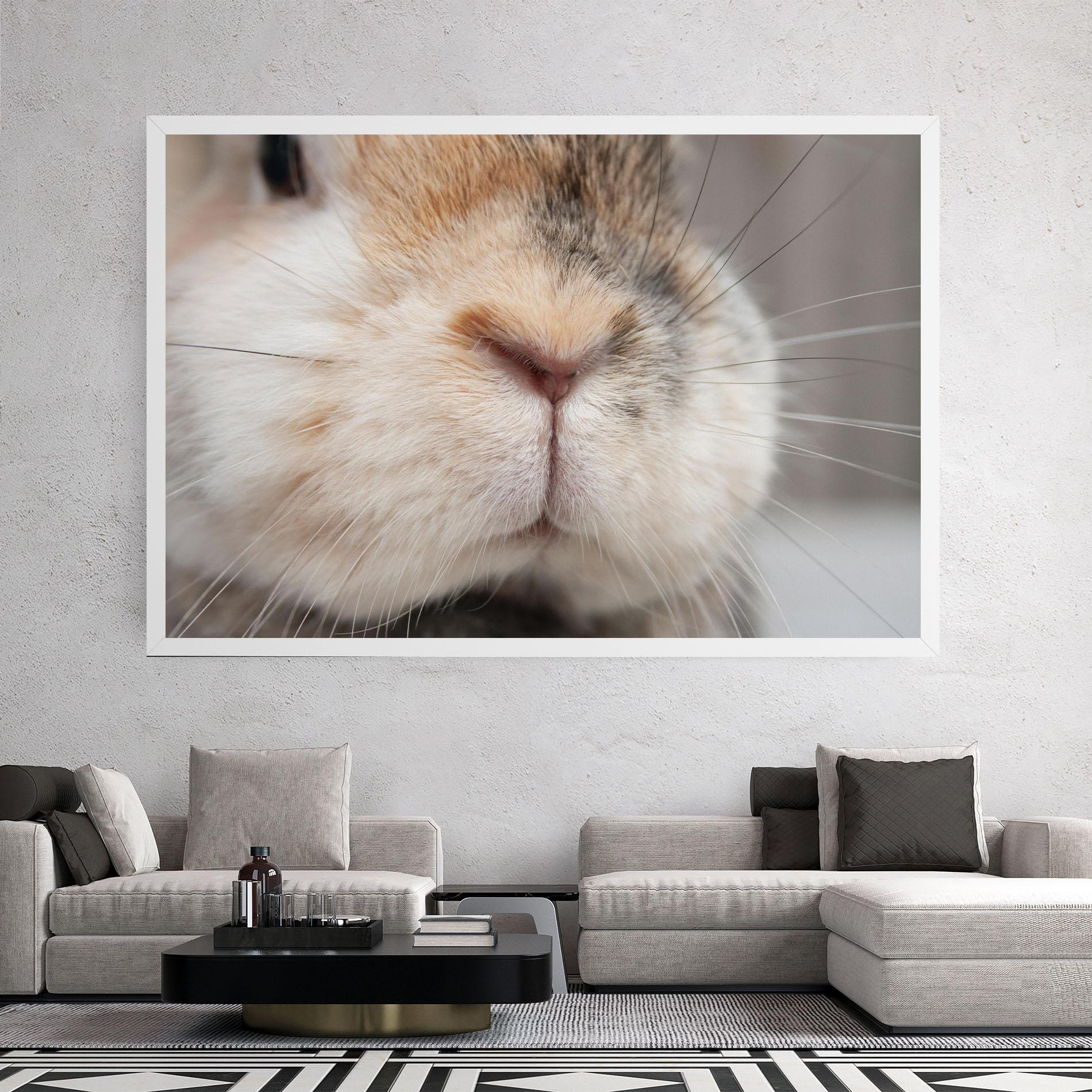 Vászonkép Close Up Bunny mockup 2