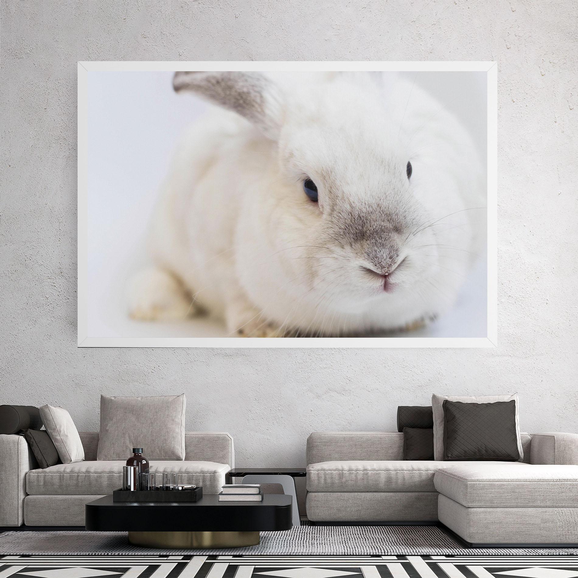Vászonkép Light Grey Bunny mockup 2