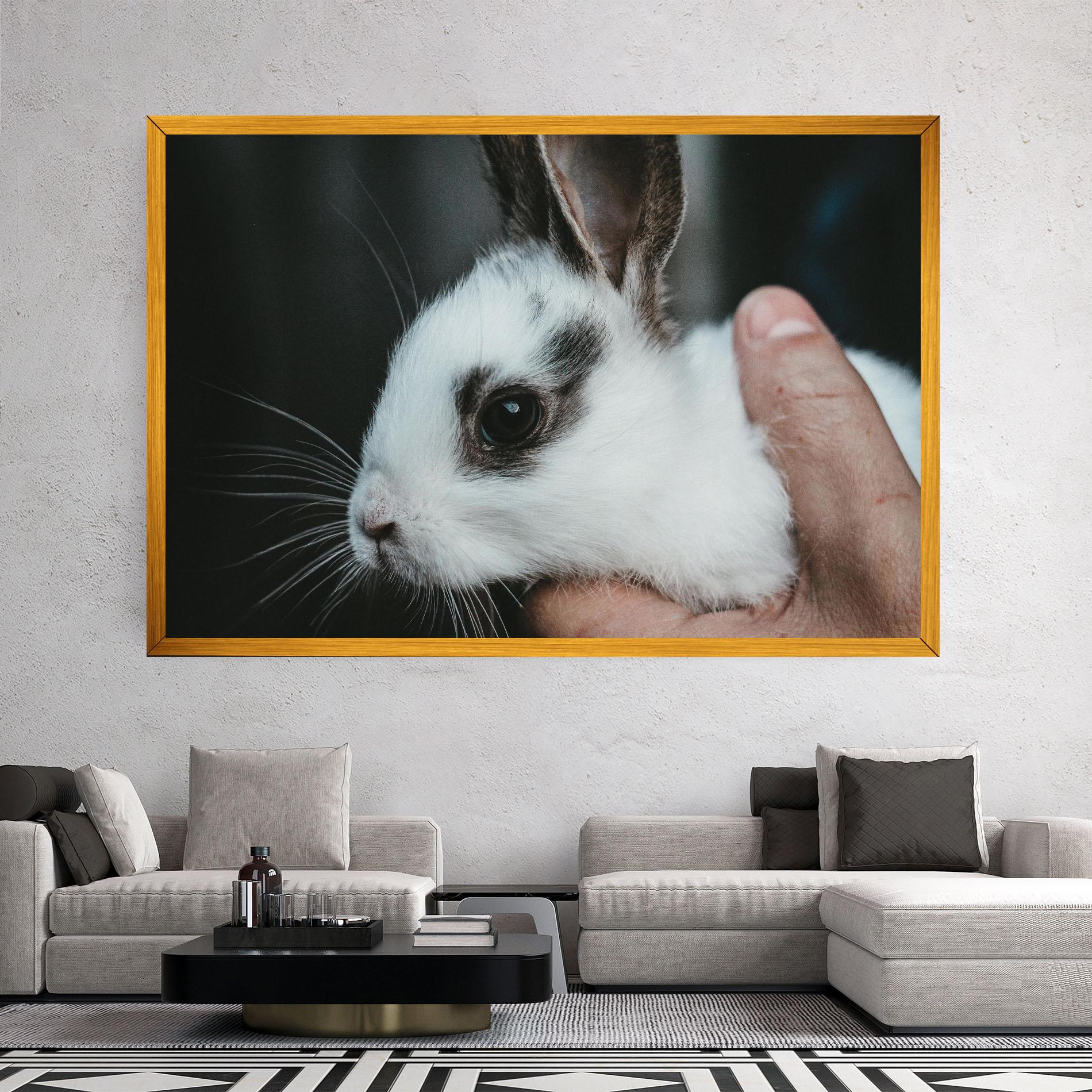 Vászonkép Holding Cute Bunny mockup 2