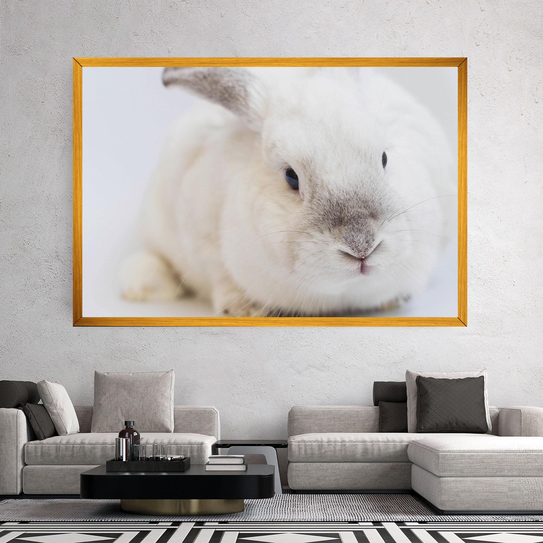 Vászonkép Light Grey Bunny mockup 2