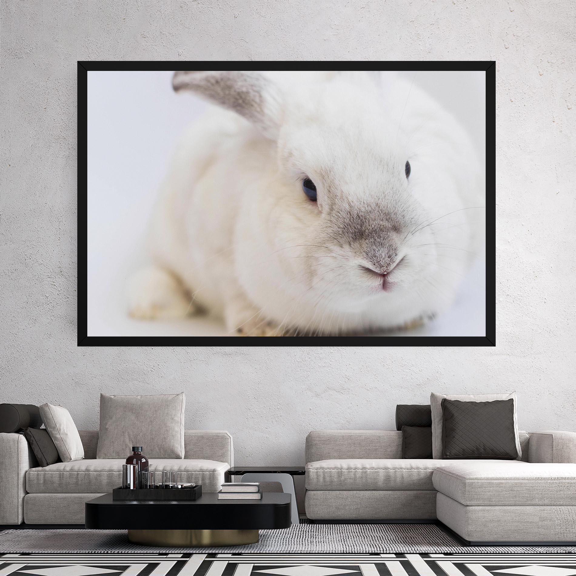 Vászonkép Light Grey Bunny mockup 2