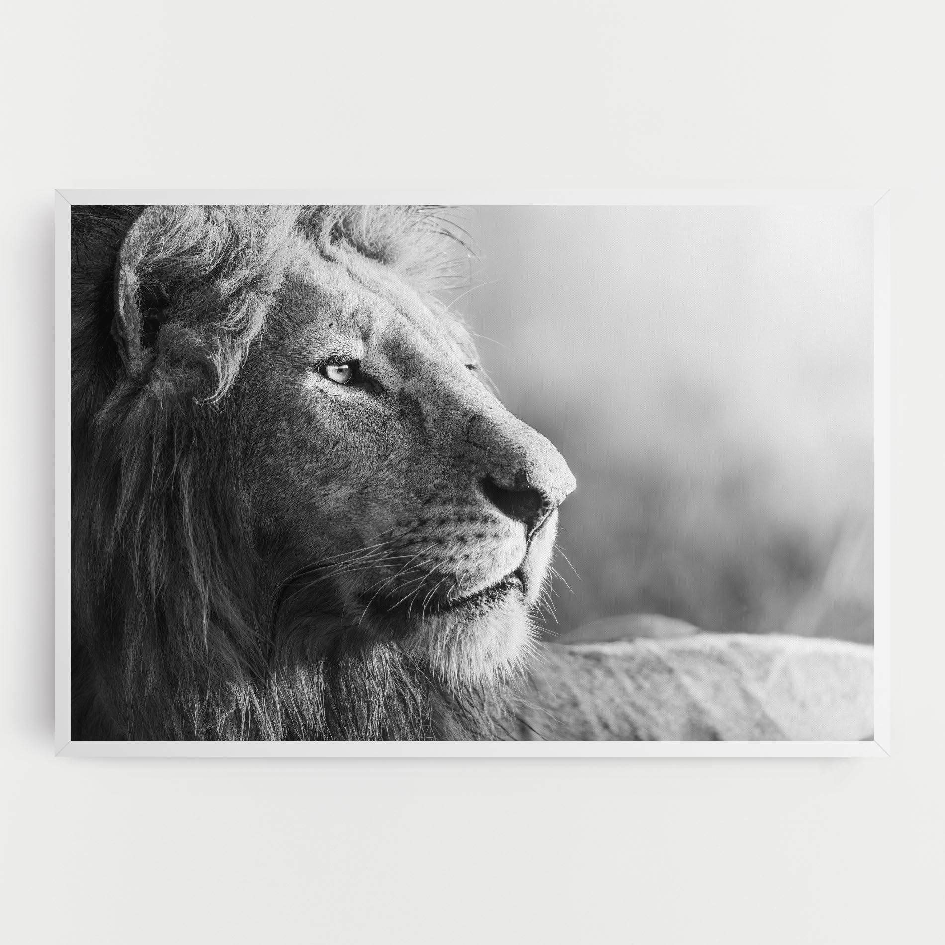 Grey Lion Head mockup 0